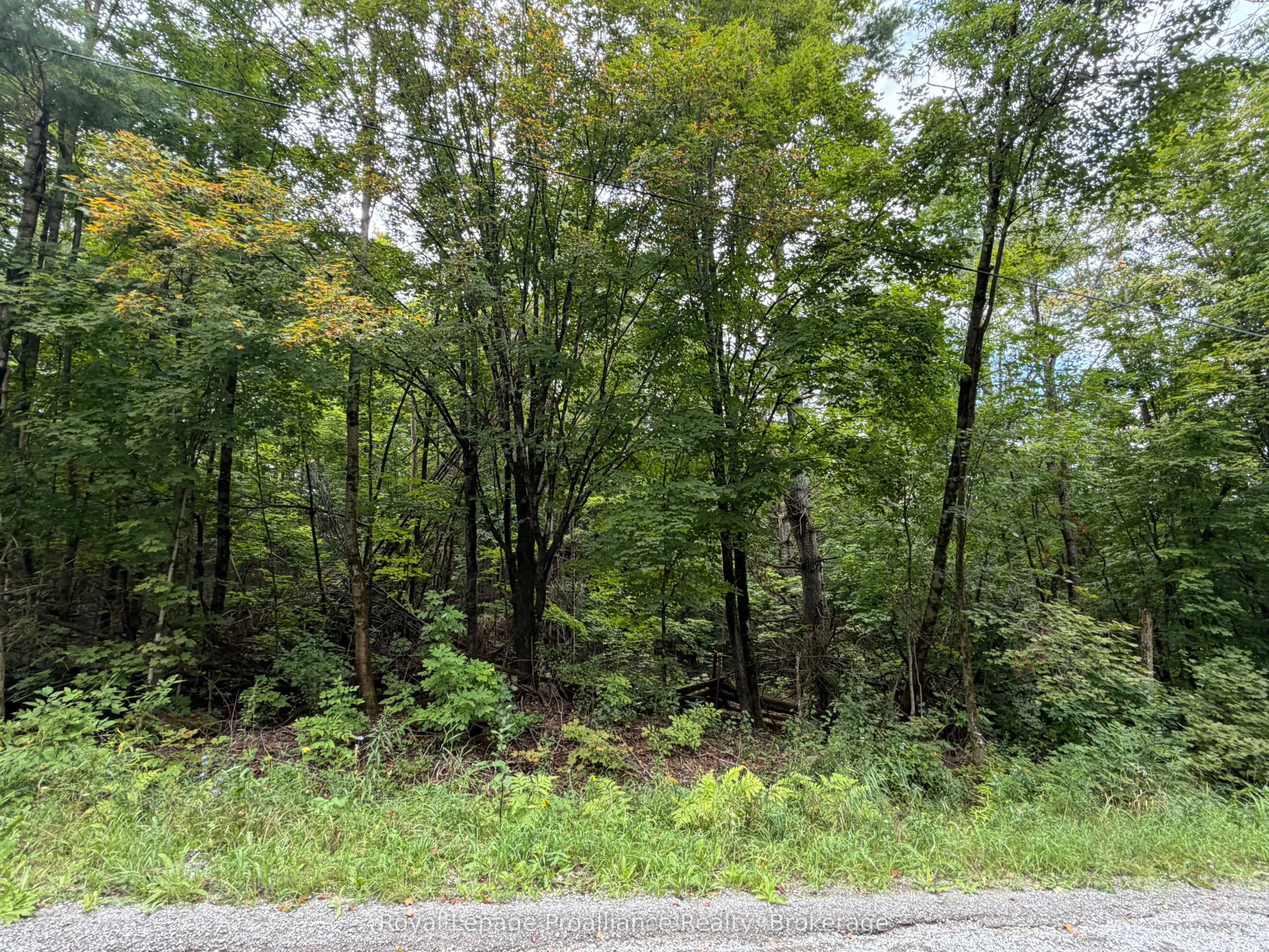 0 Twin Sisters Lake Road