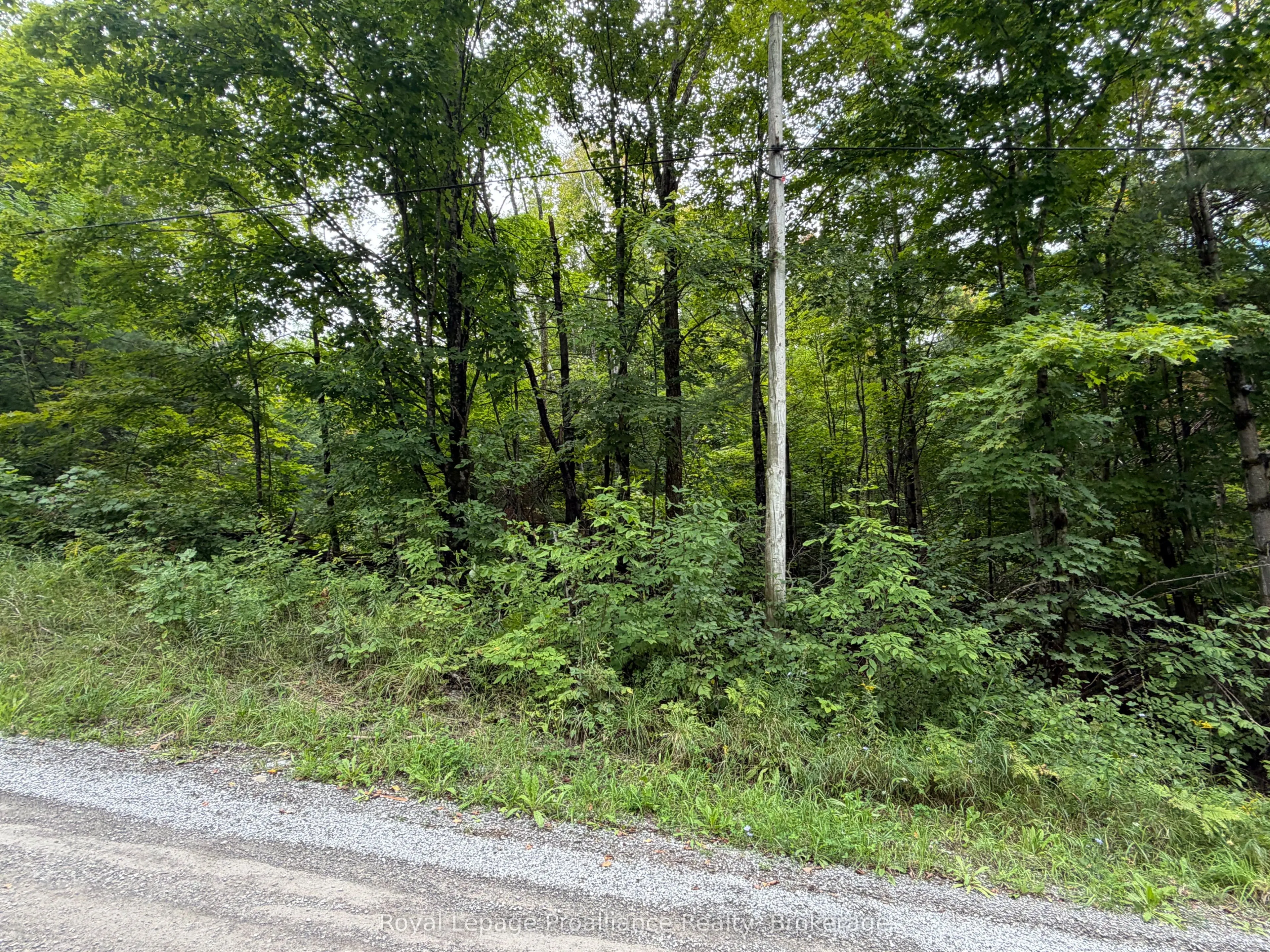 0 Twin Sisters Lake Road