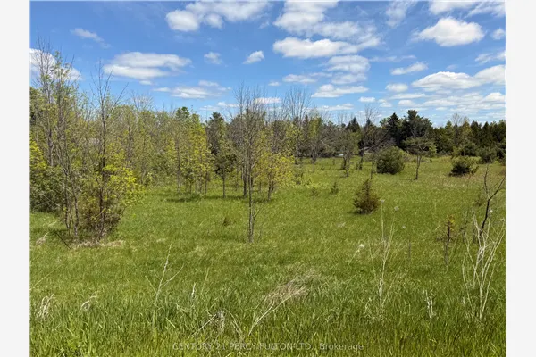 LOT 55, 56 &57 COUNTY RD 25