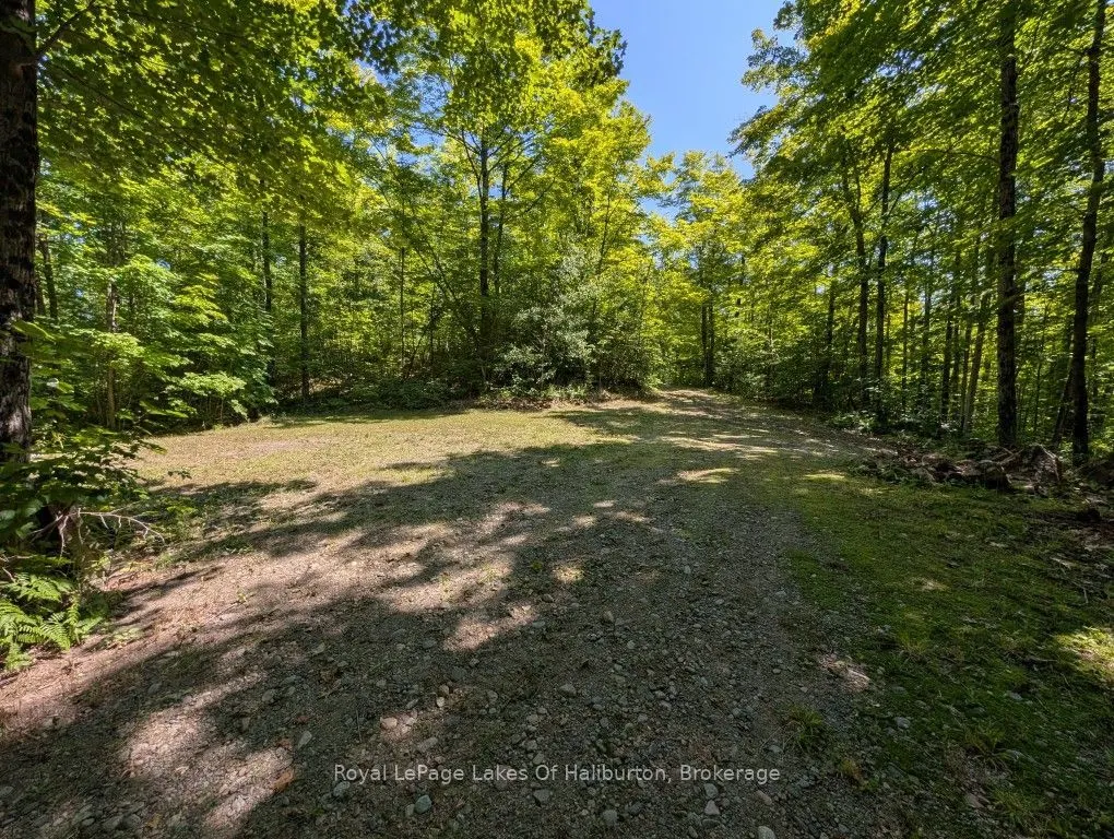 9842 Highway 35