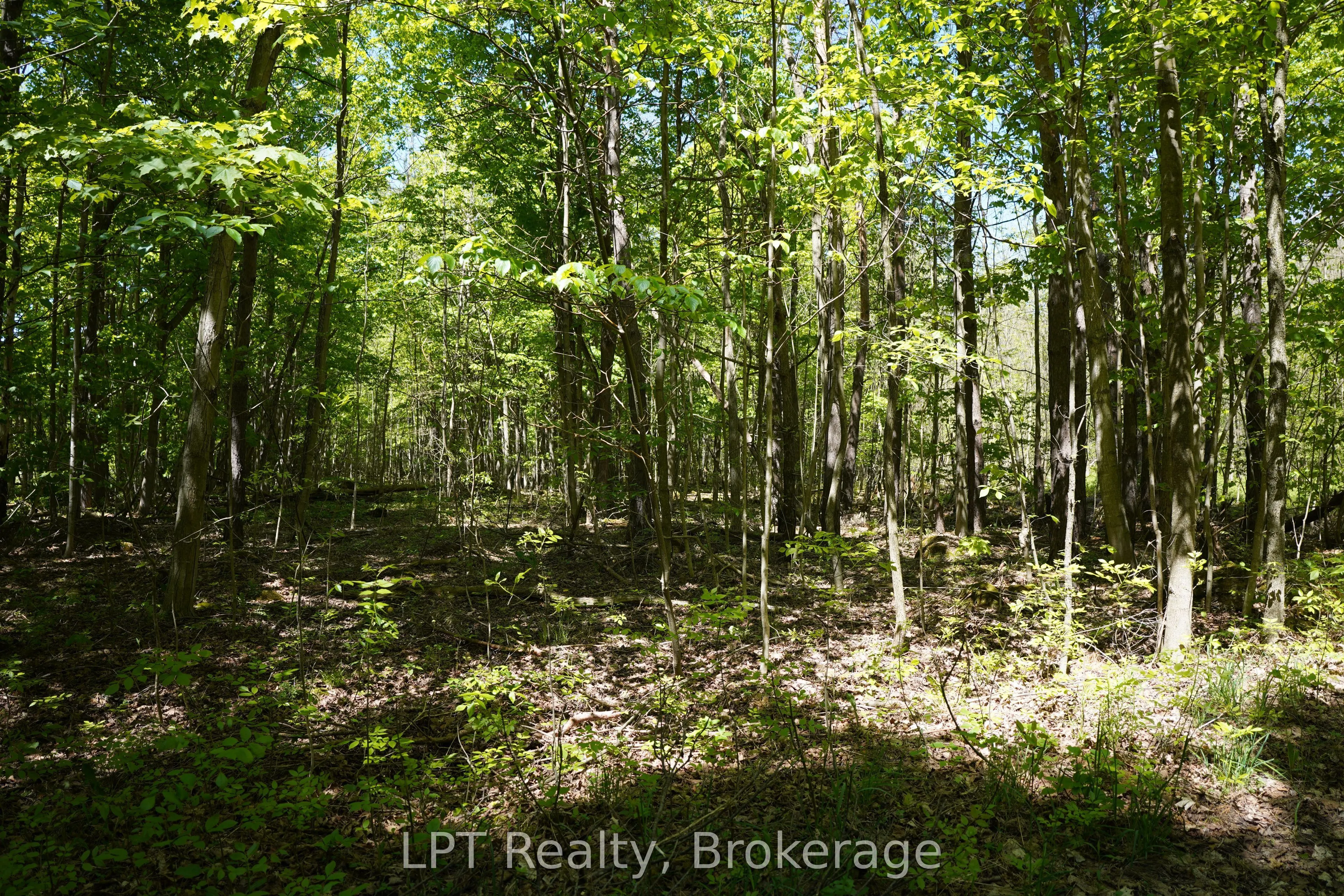 LOT 16 GREY ROAD 17