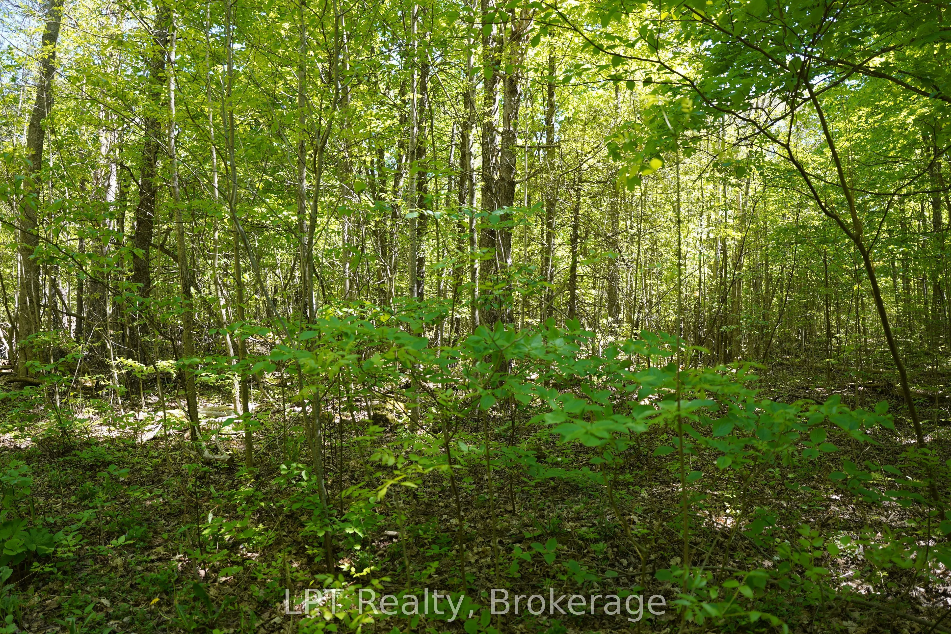LOT 16 GREY ROAD 17