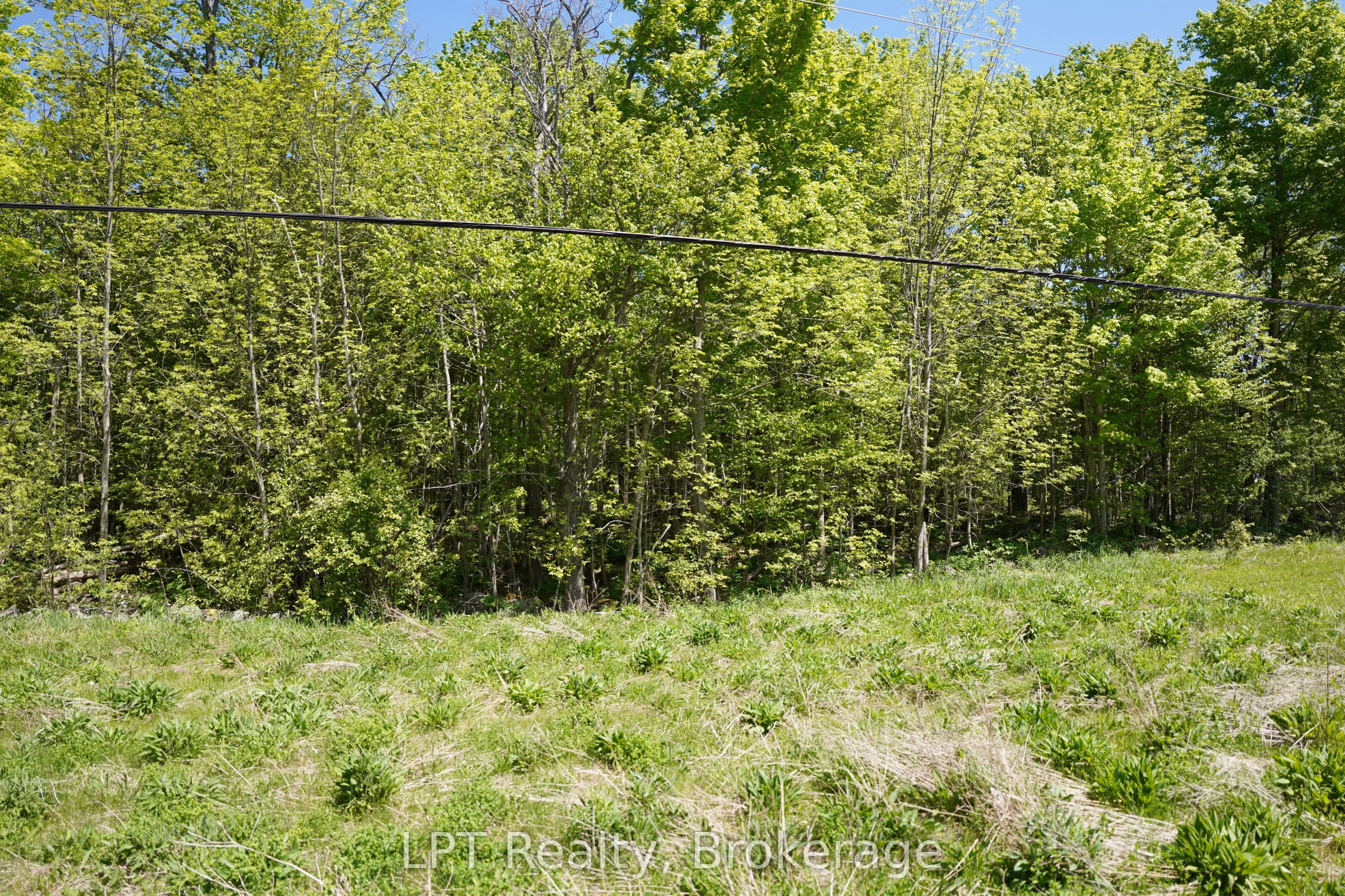 LOT 16 GREY ROAD 17