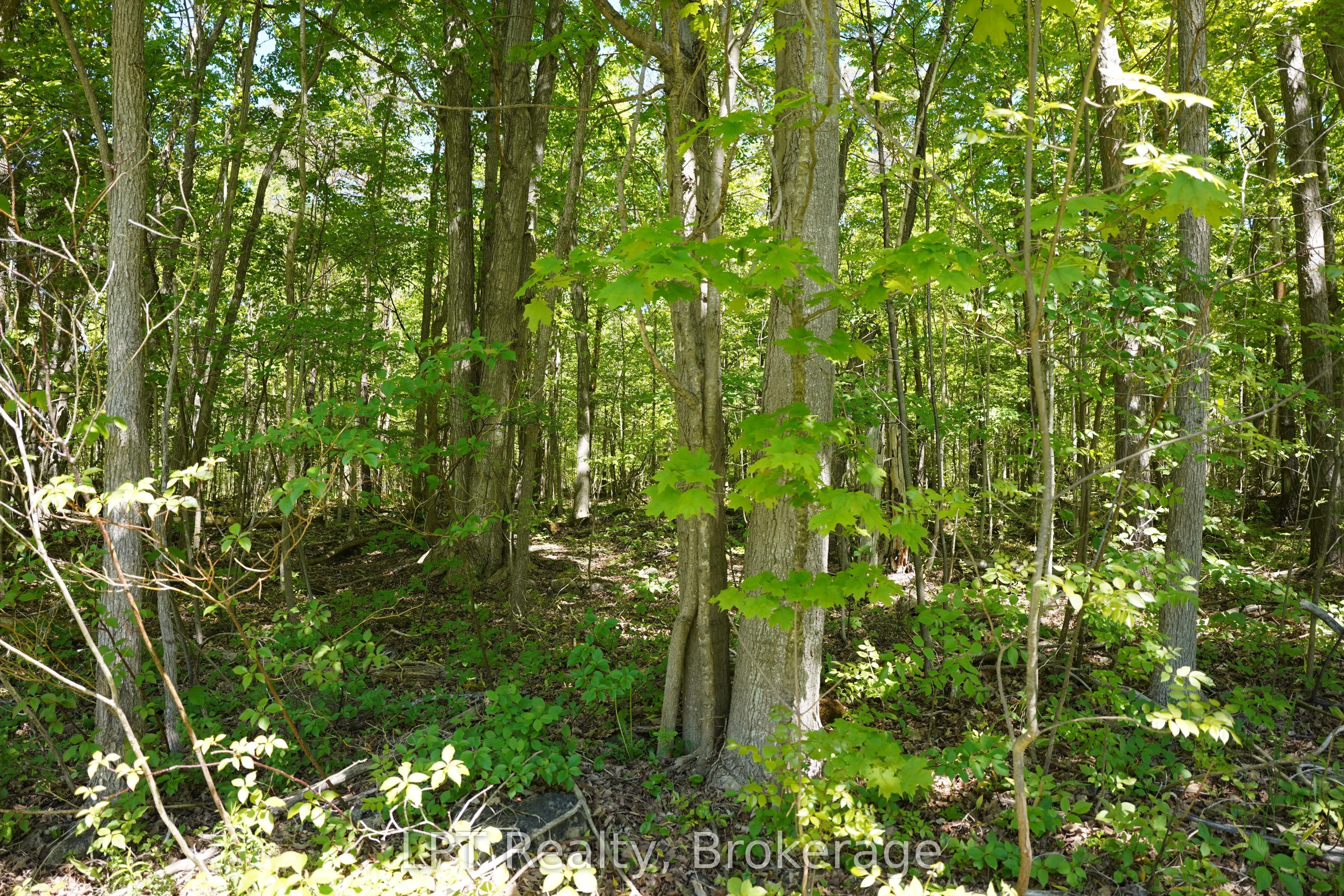 LOT 16 GREY ROAD 17