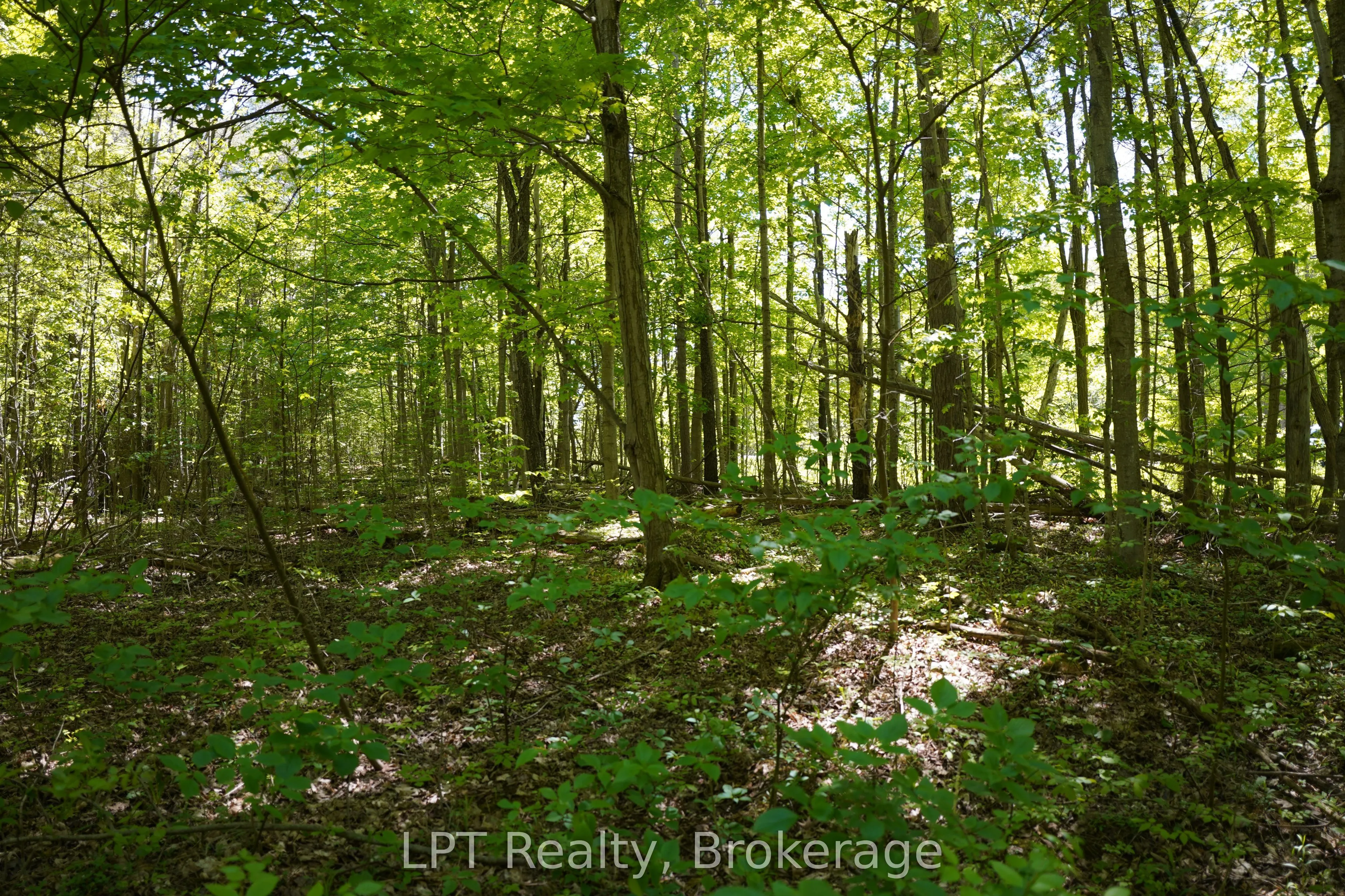 LOT 16 GREY ROAD 17