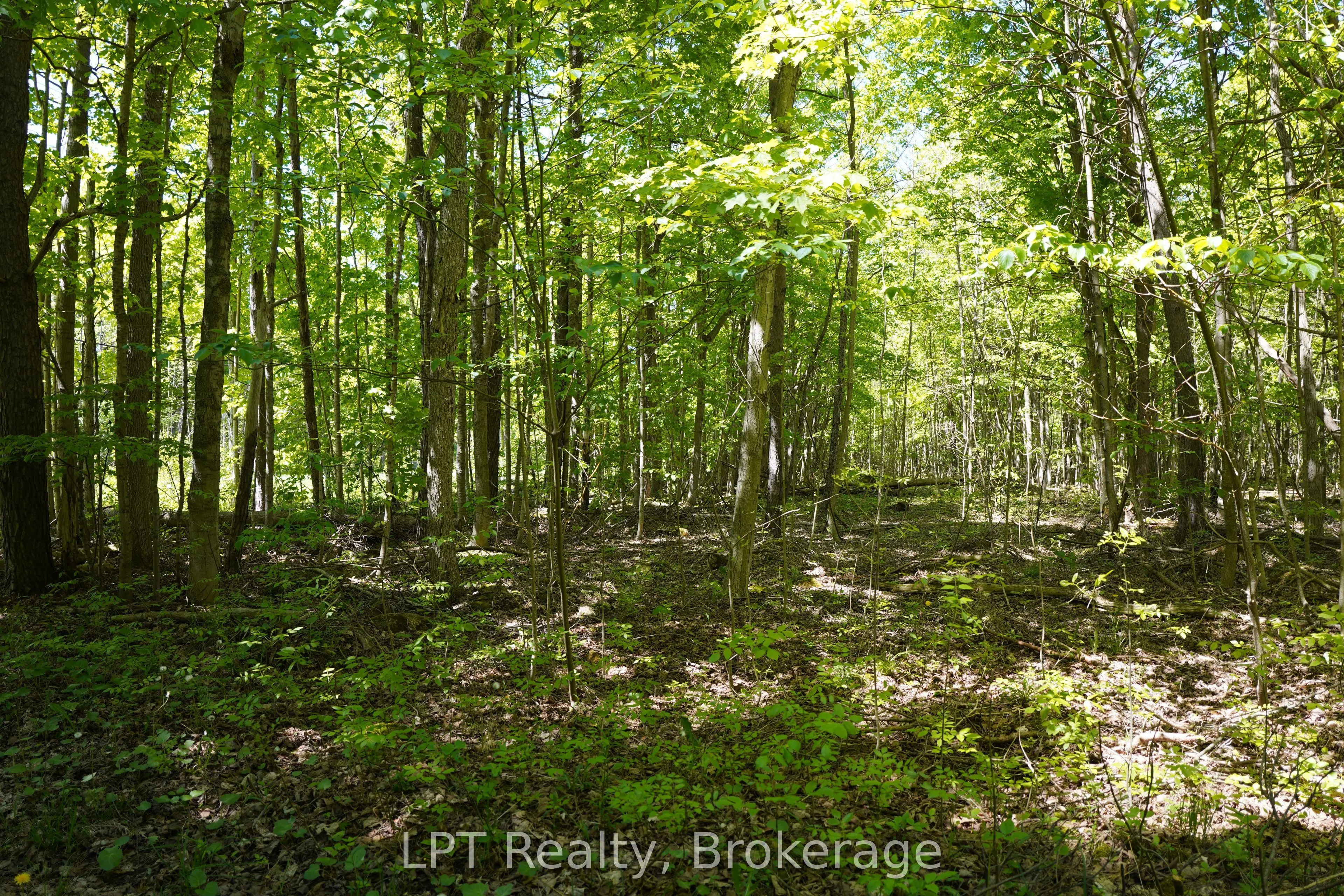 LOT 16 GREY ROAD 17