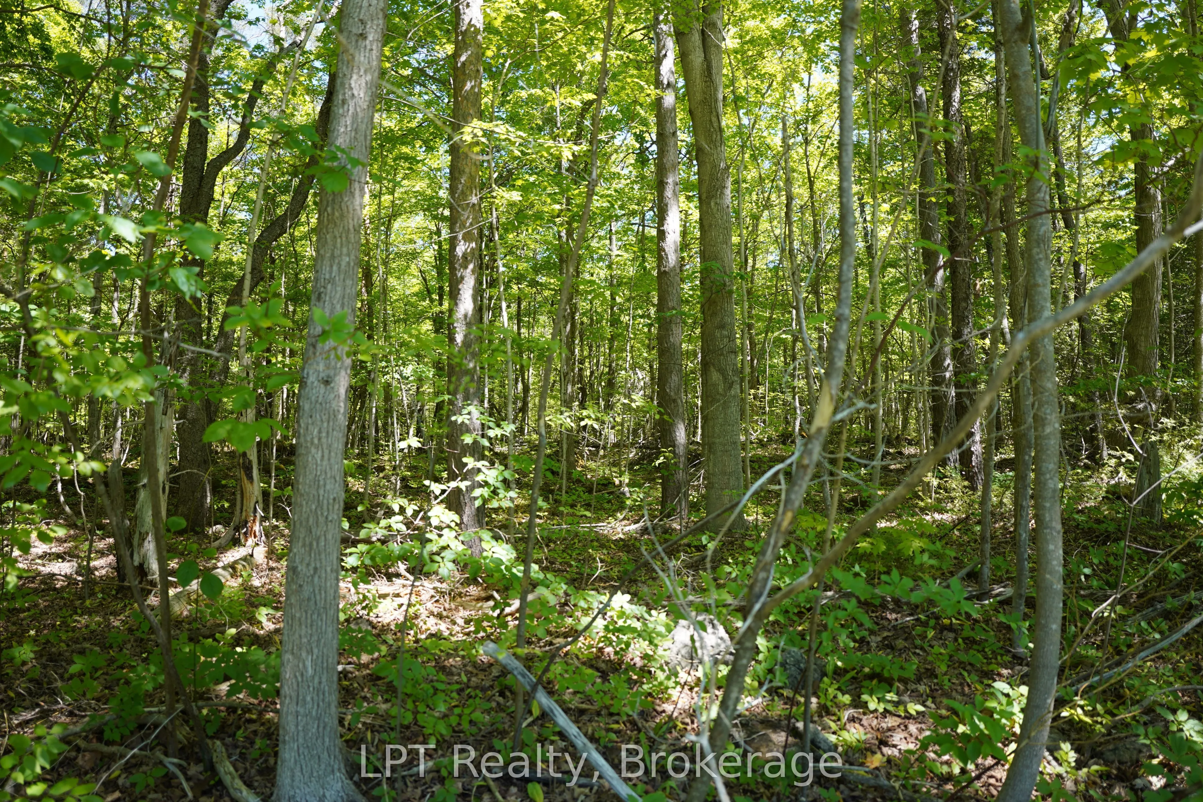LOT 16 GREY ROAD 17