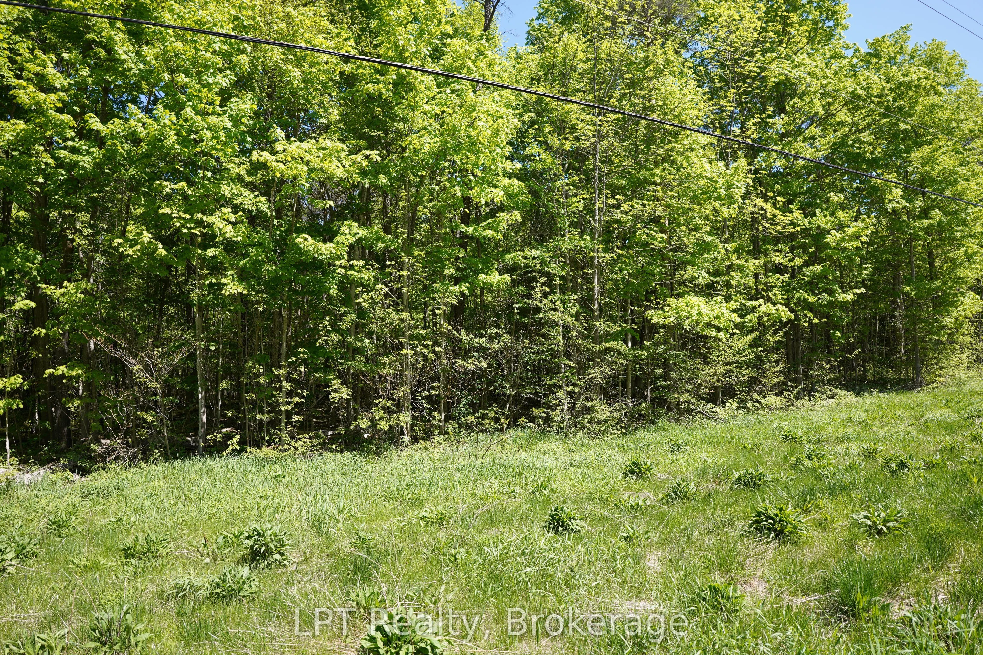 LOT 16 GREY ROAD 17