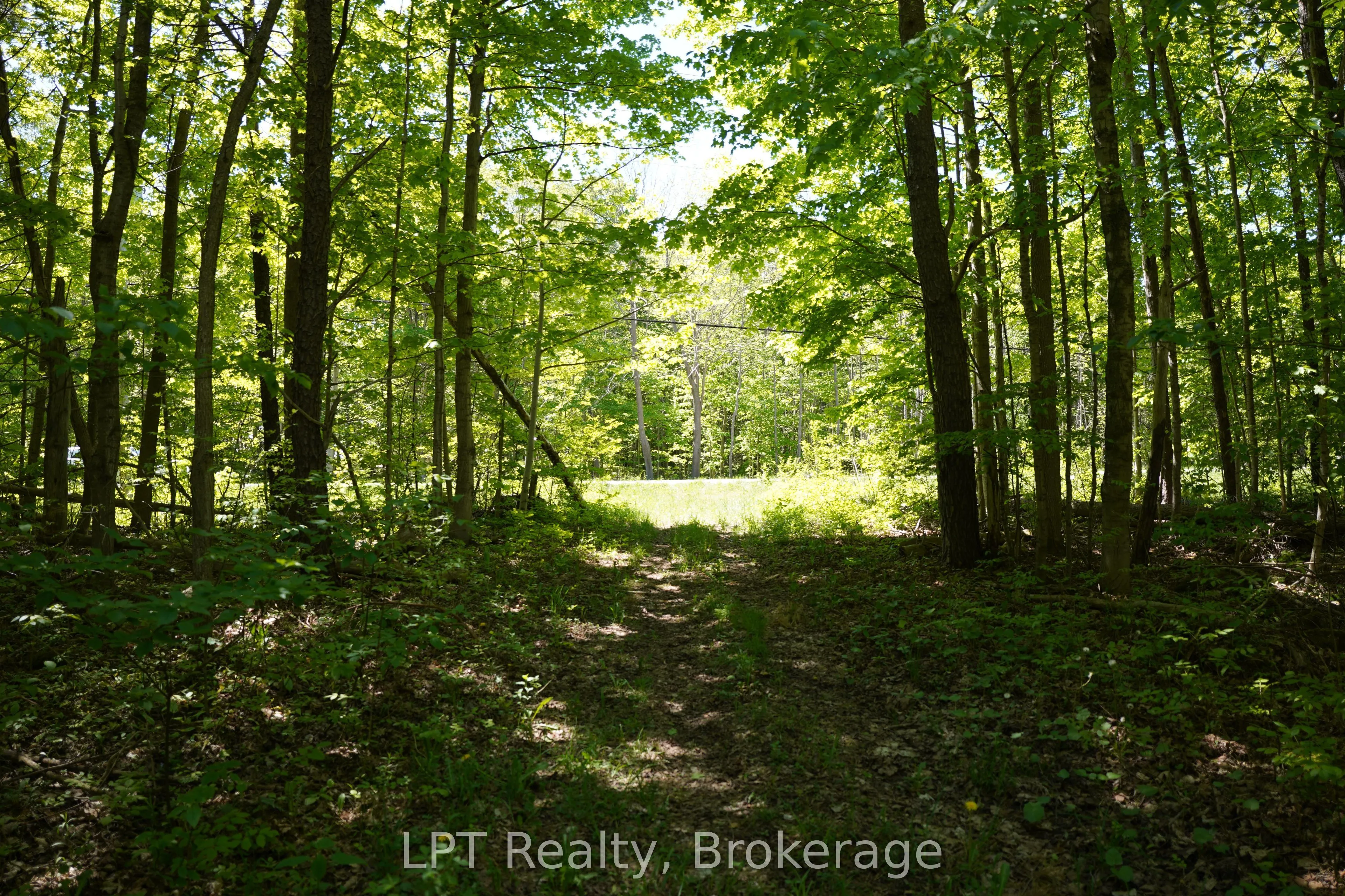 LOT 16 GREY ROAD 17