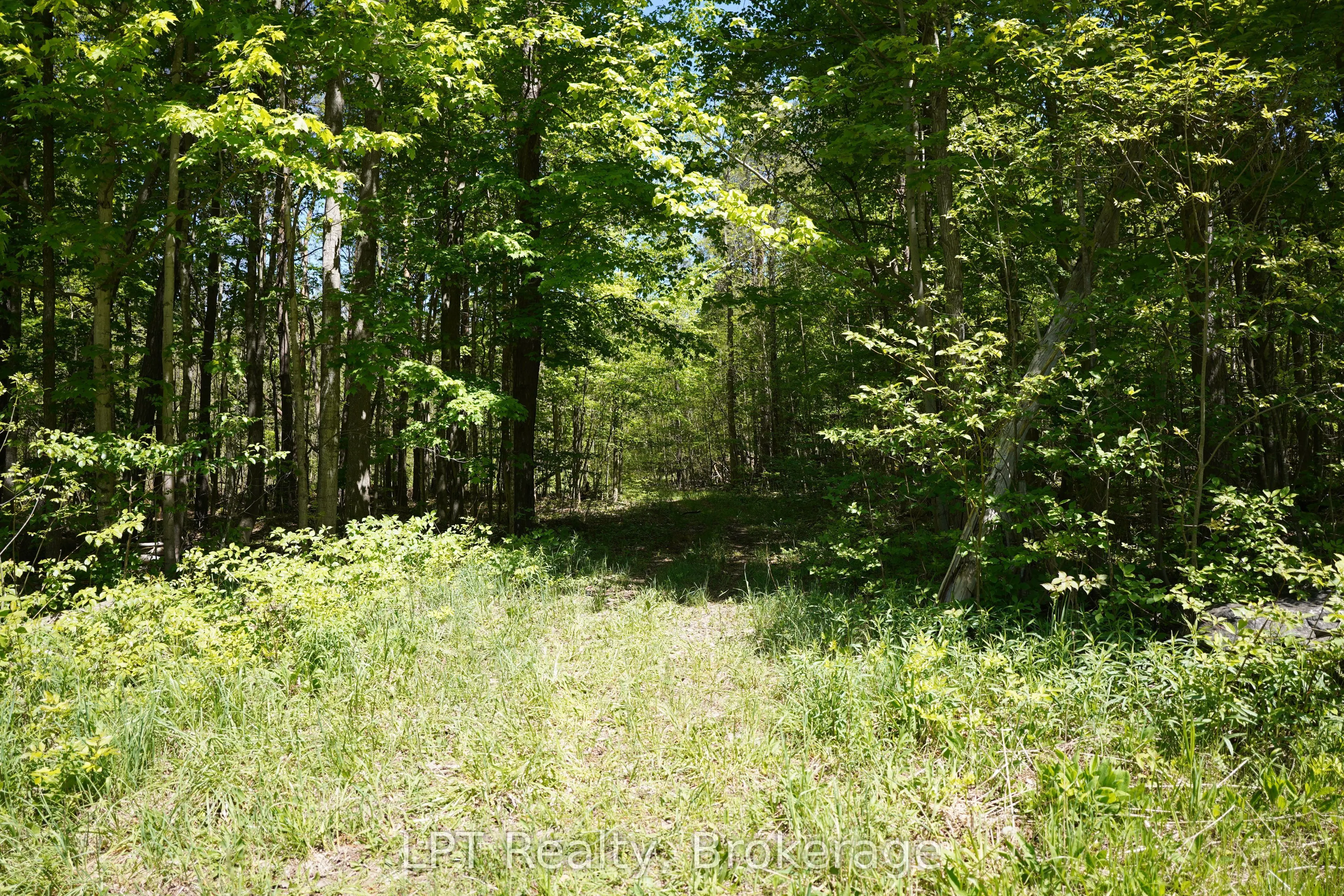 LOT 16 GREY ROAD 17