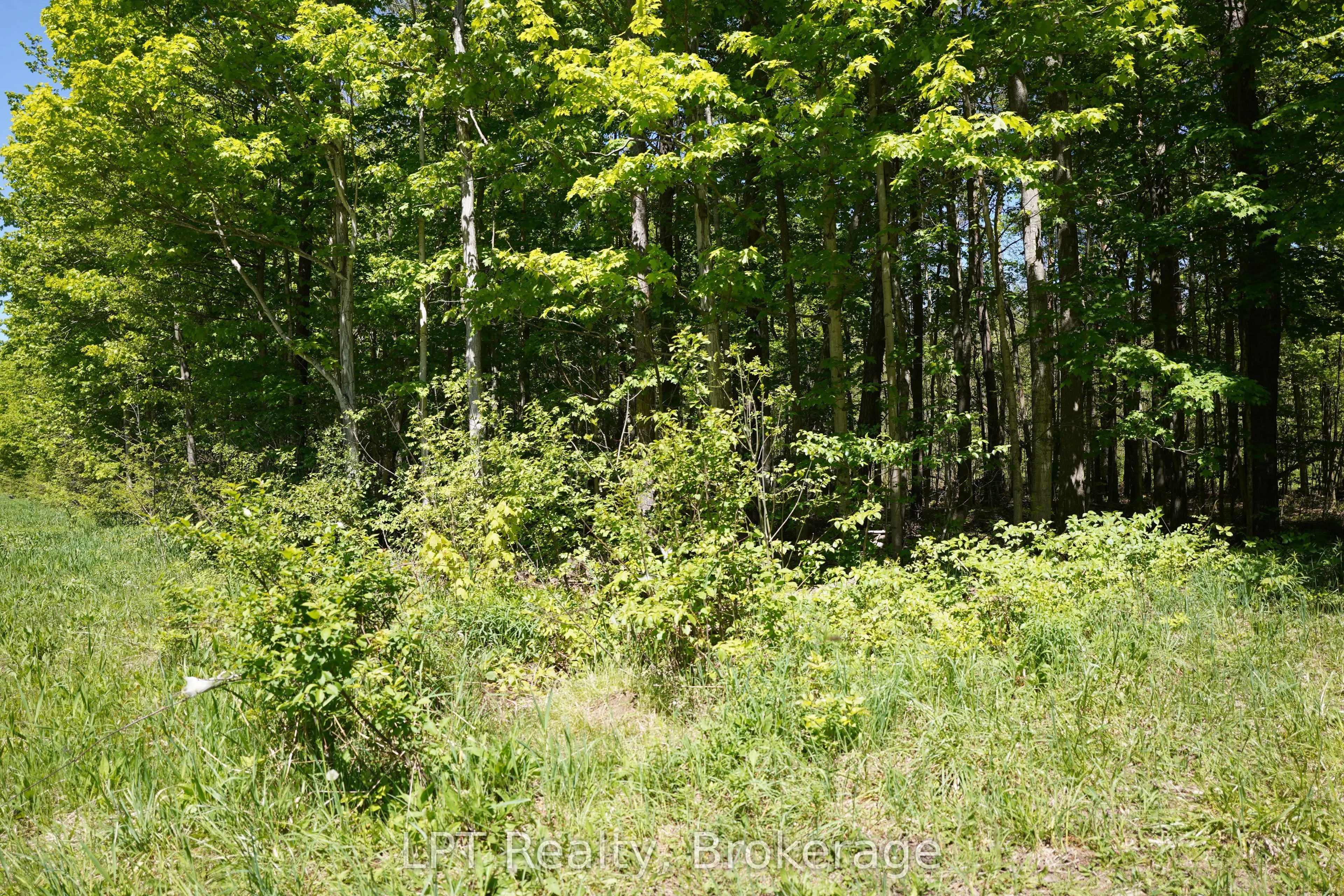 LOT 16 GREY ROAD 17