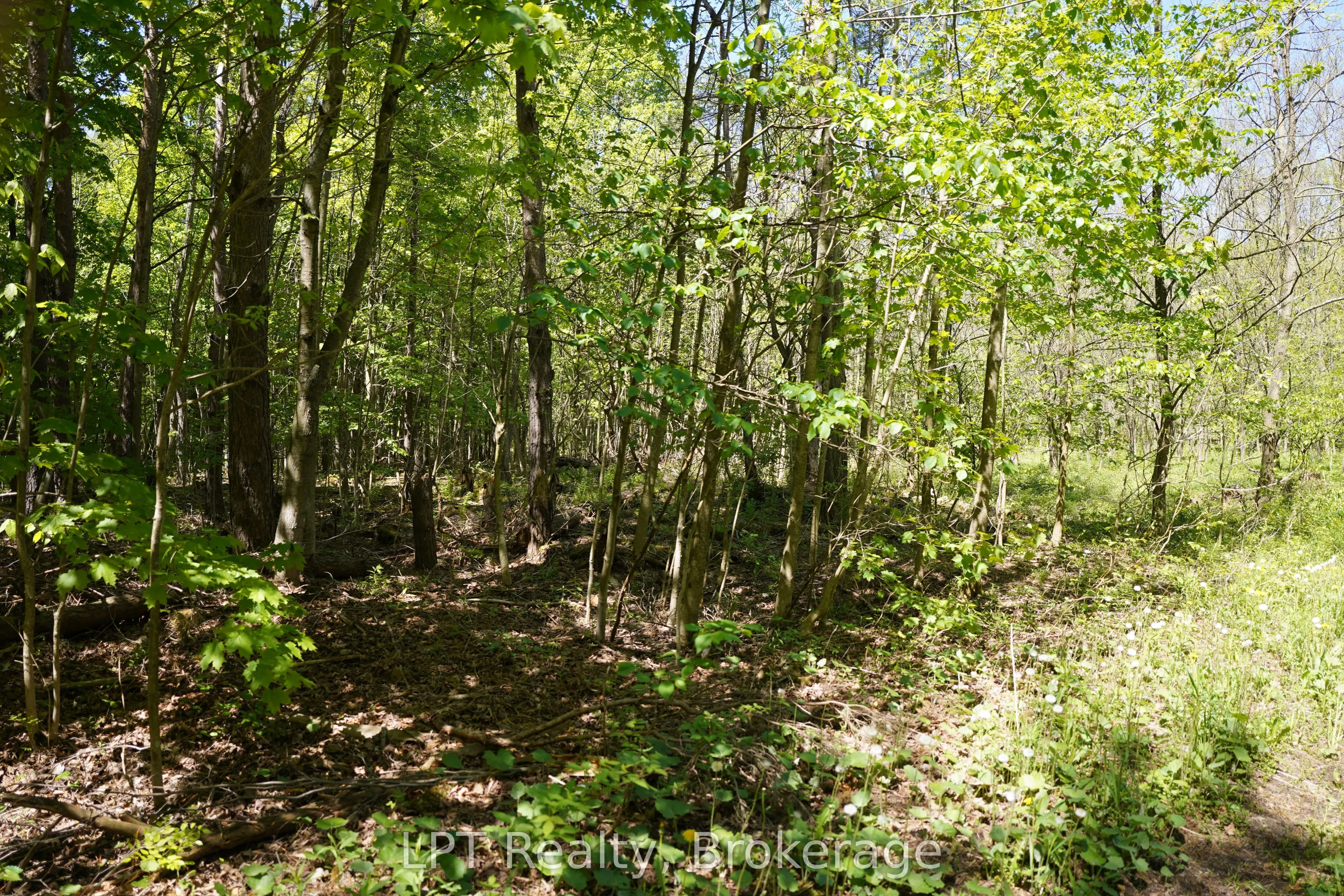 LOT 16 GREY ROAD 17