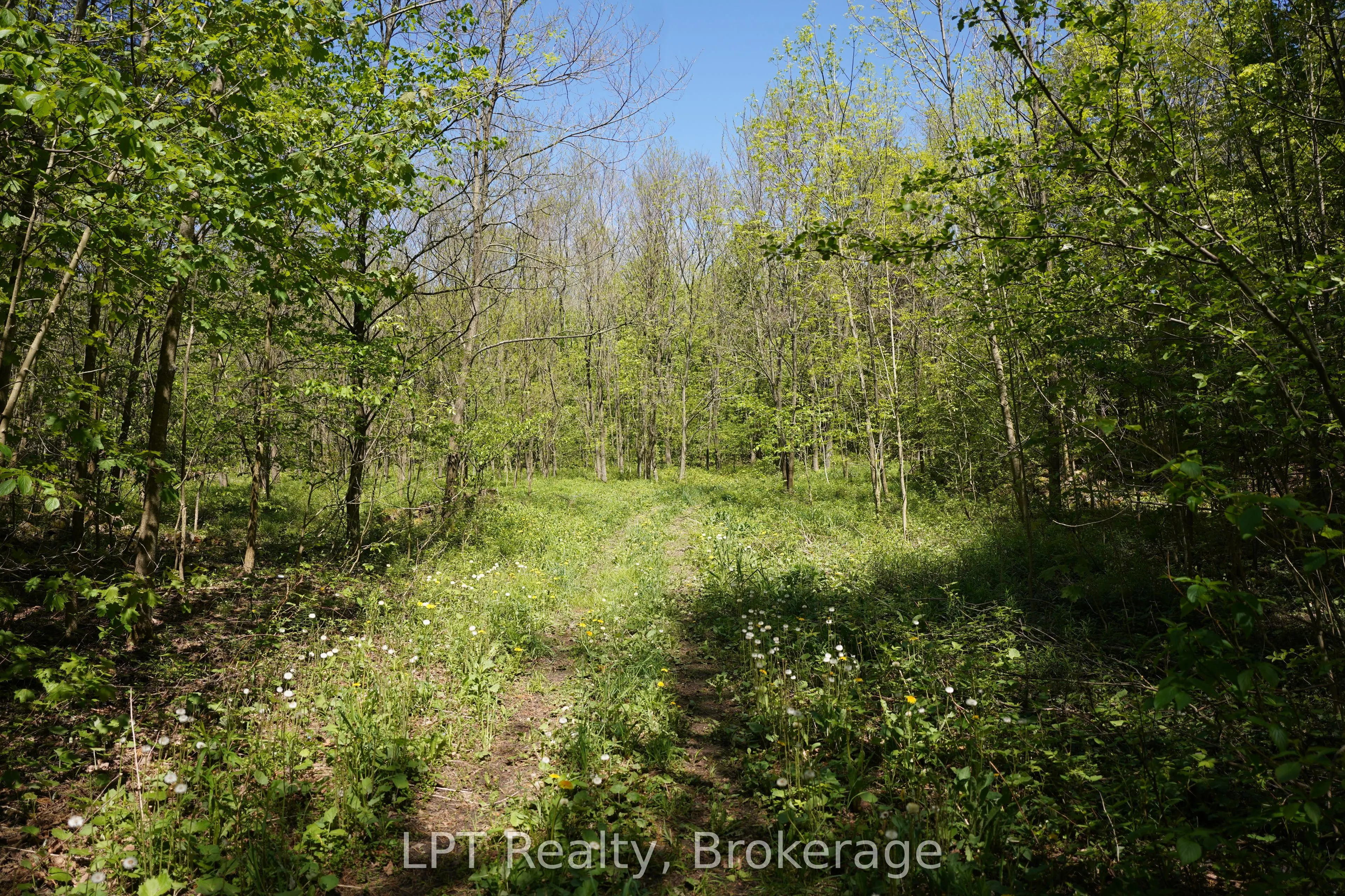 LOT 16 GREY ROAD 17