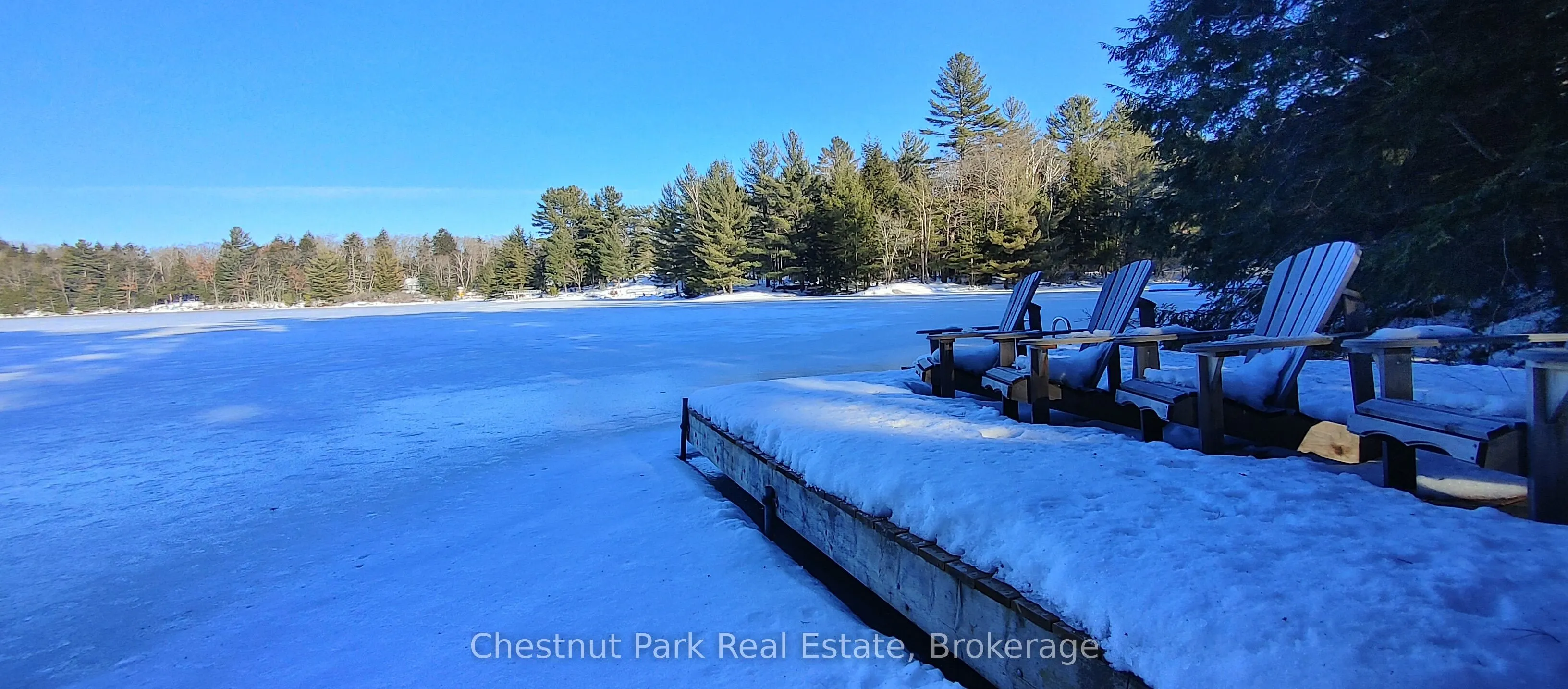 1158 Cranberry Road #11