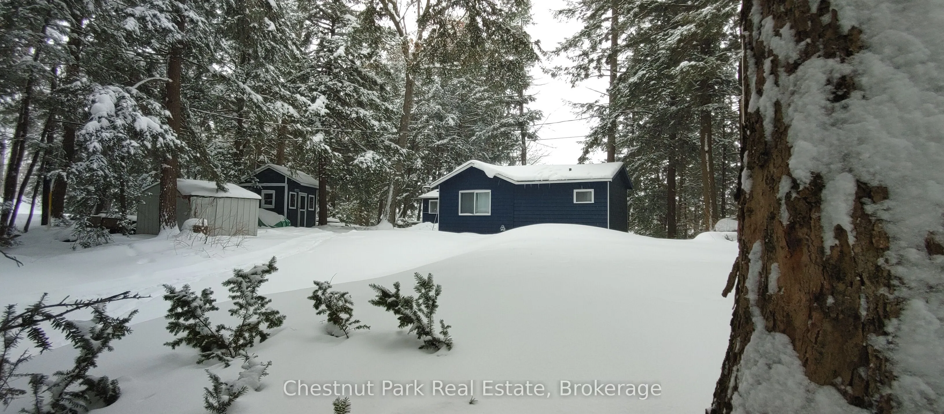 1158 Cranberry Road #11