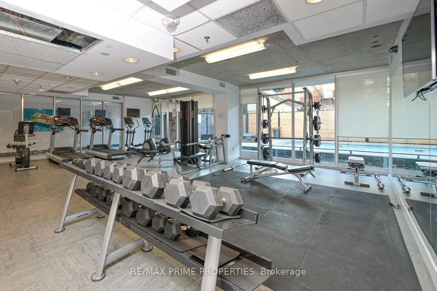 300 Lisgar Street #506