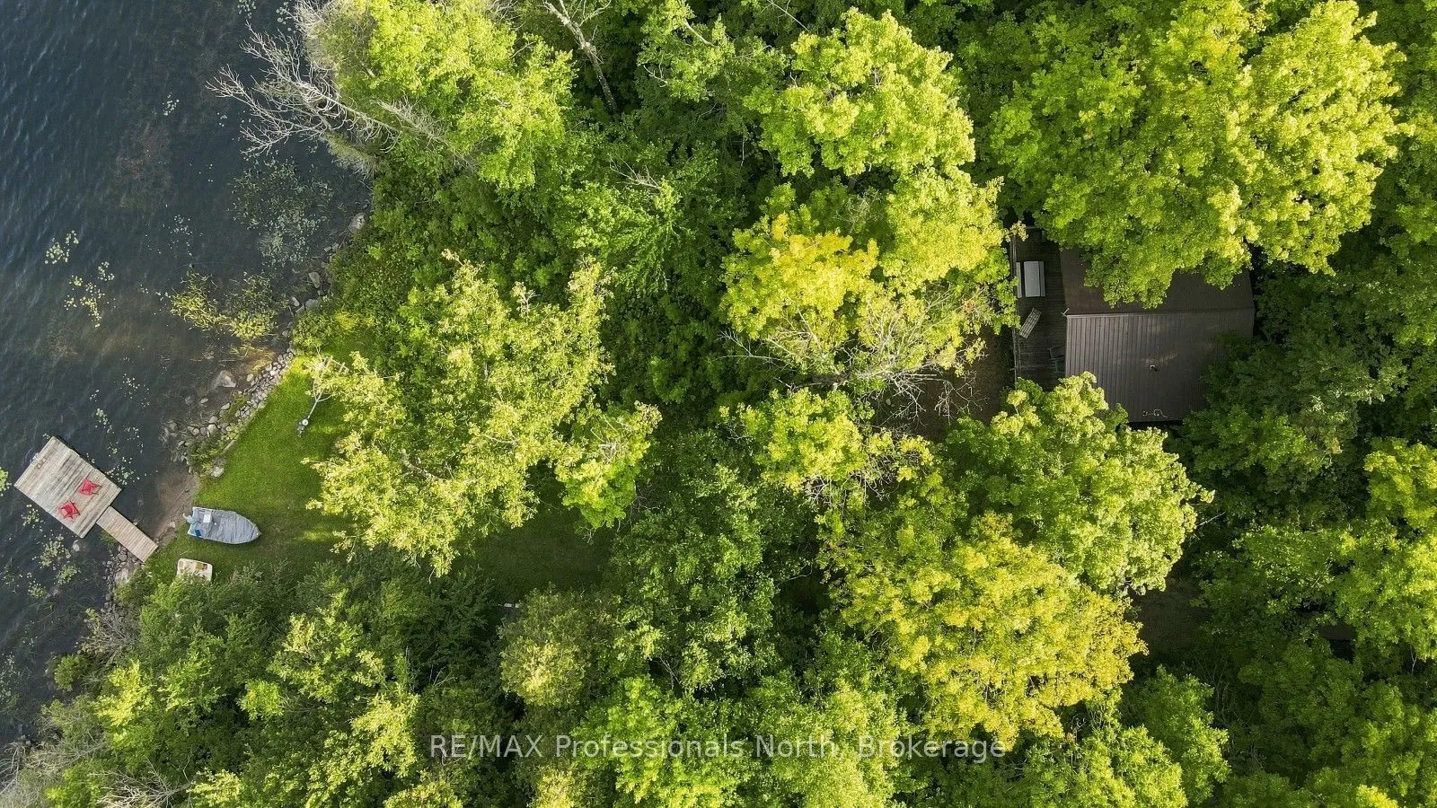1009 Spencers Trail