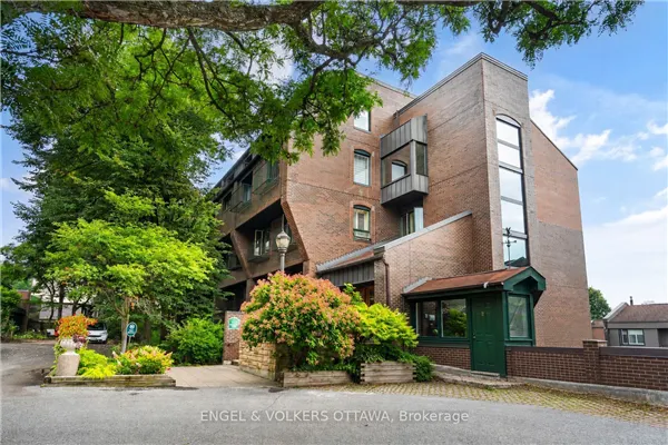 135 Springfield Road #5