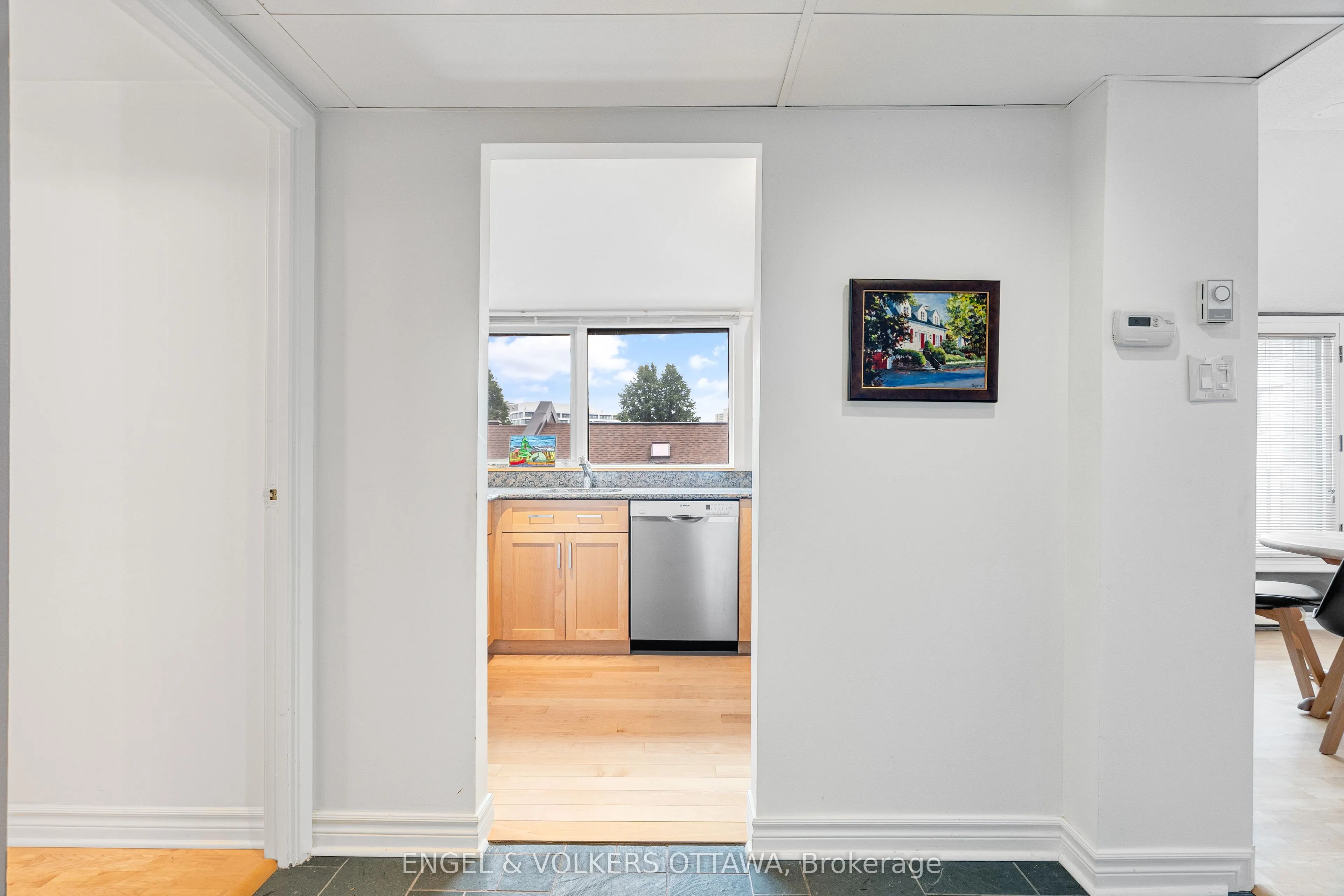 135 Springfield Road #5