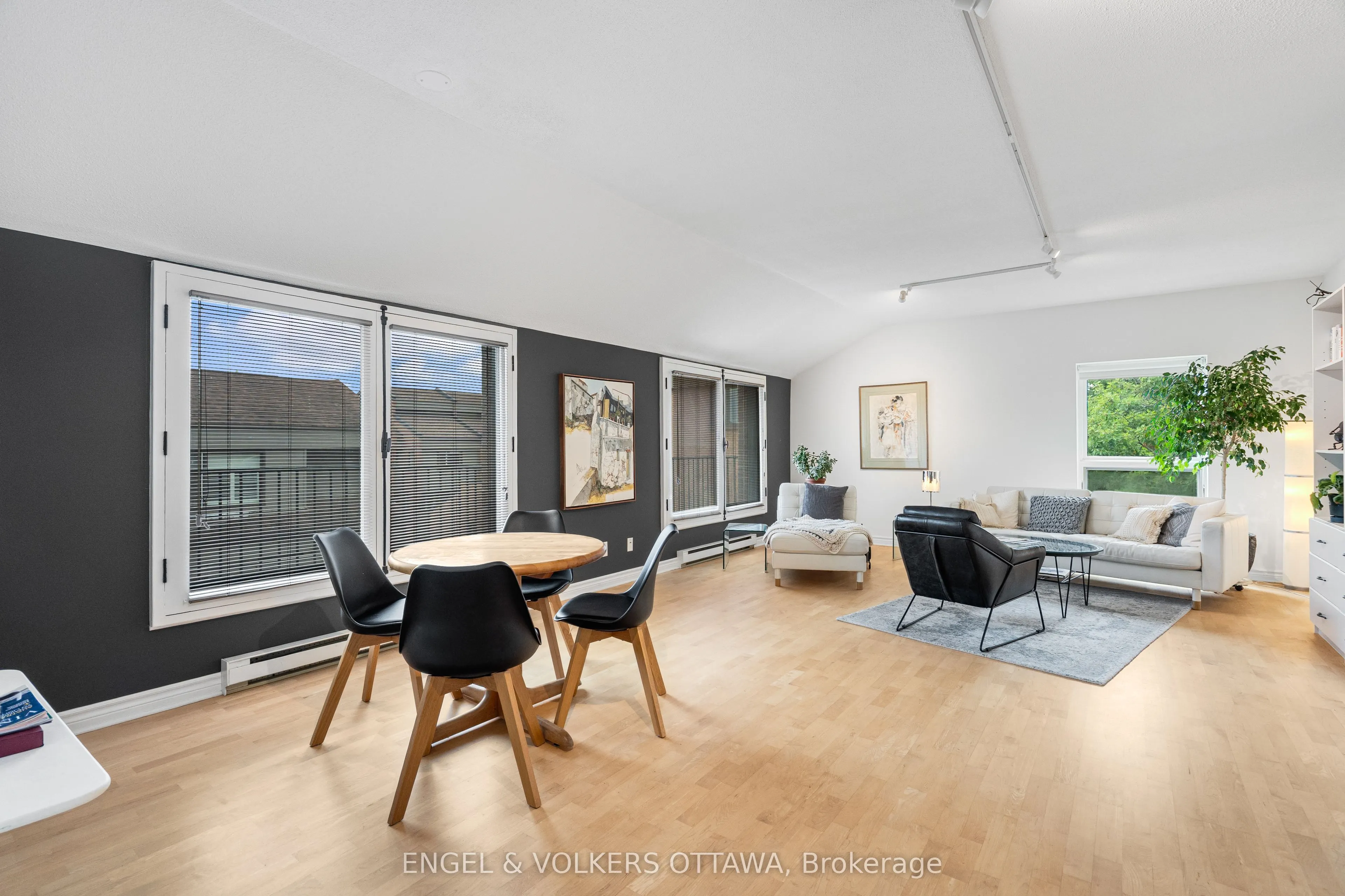 135 Springfield Road #5