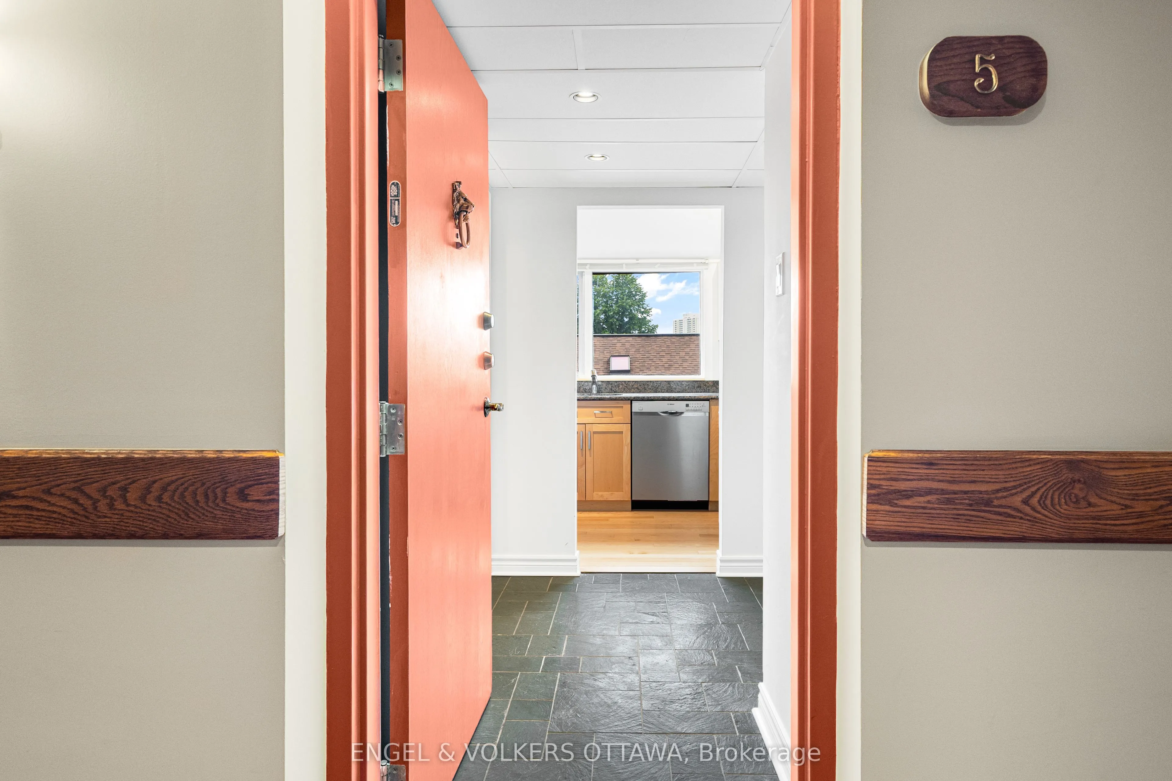 135 Springfield Road #5