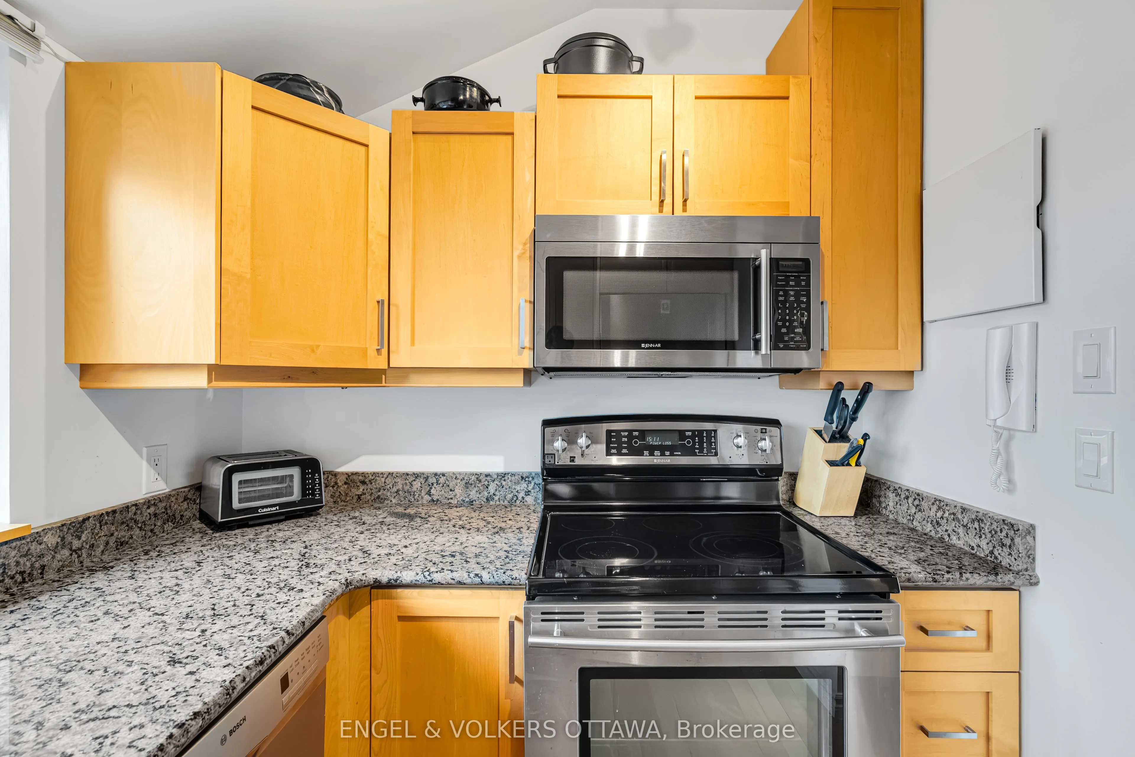 135 Springfield Road #5