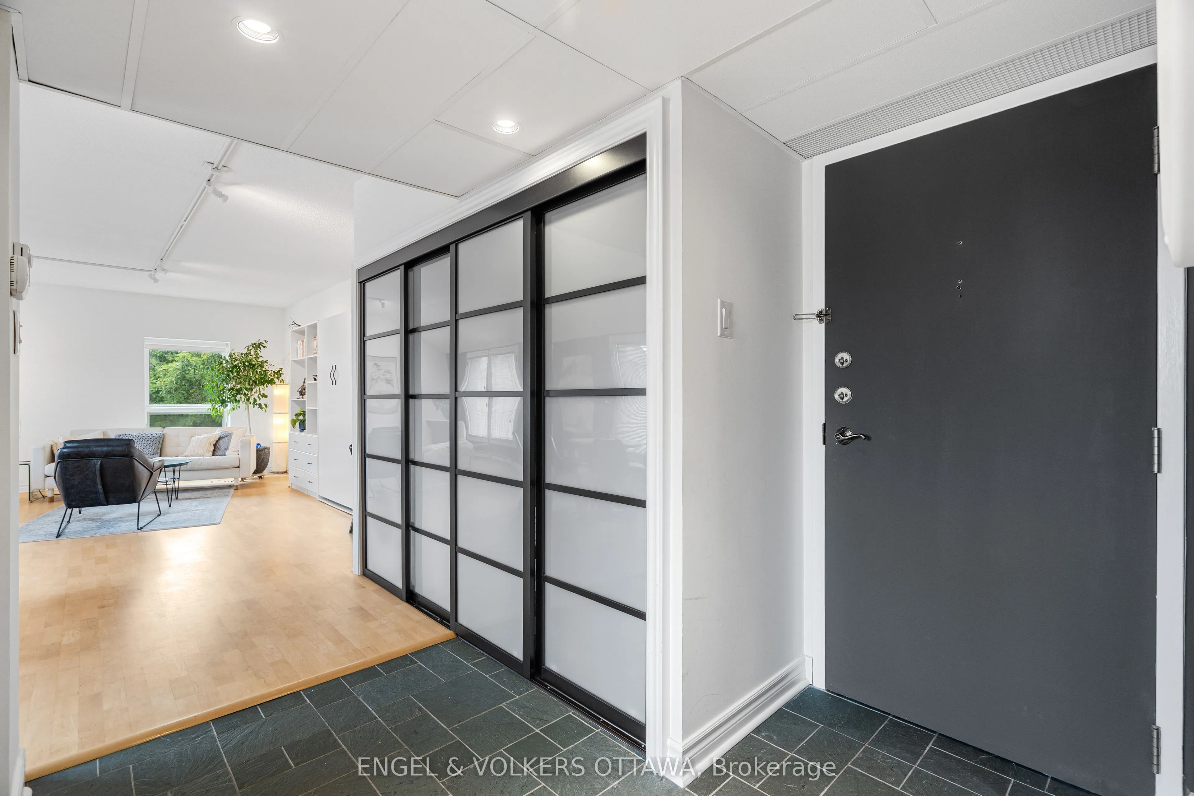 135 Springfield Road #5