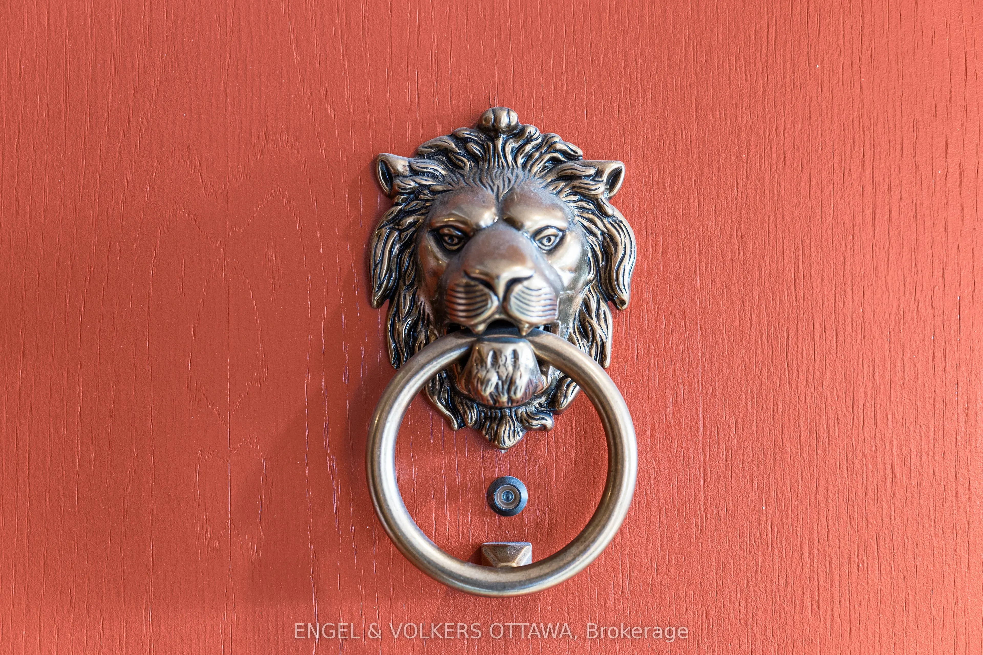 135 Springfield Road #5