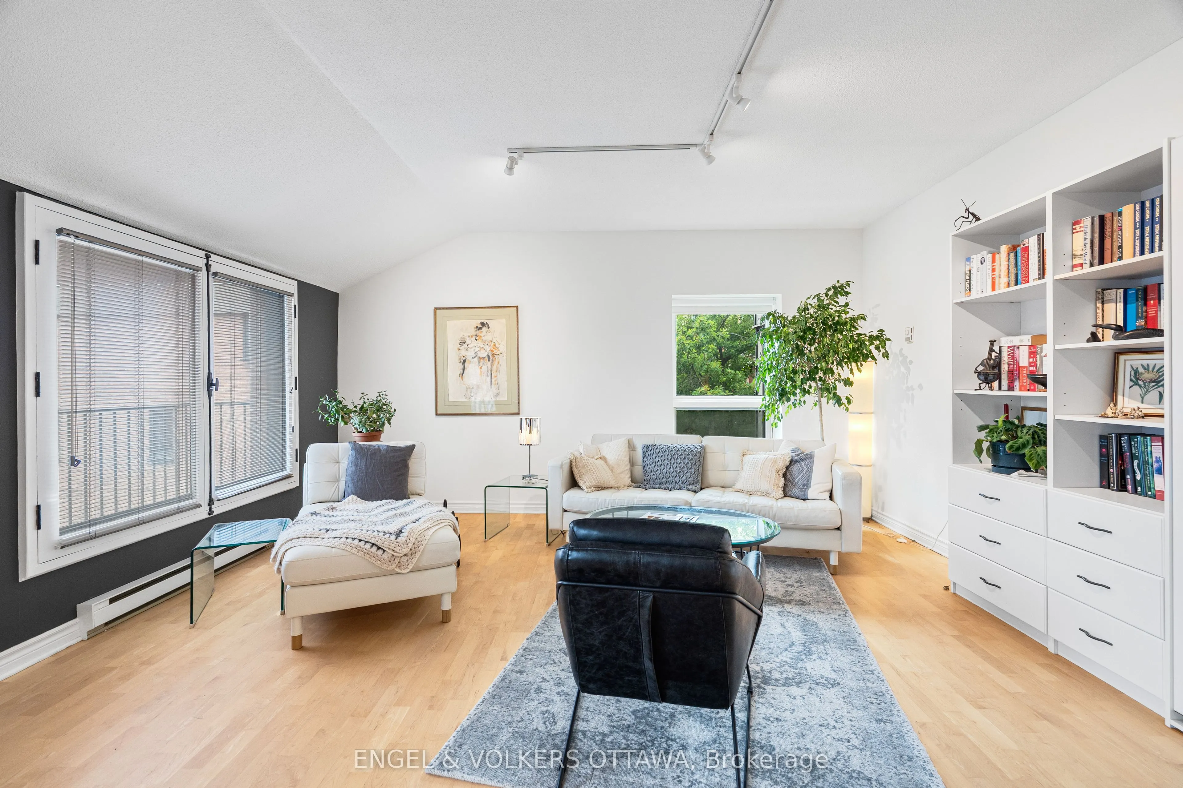 135 Springfield Road #5