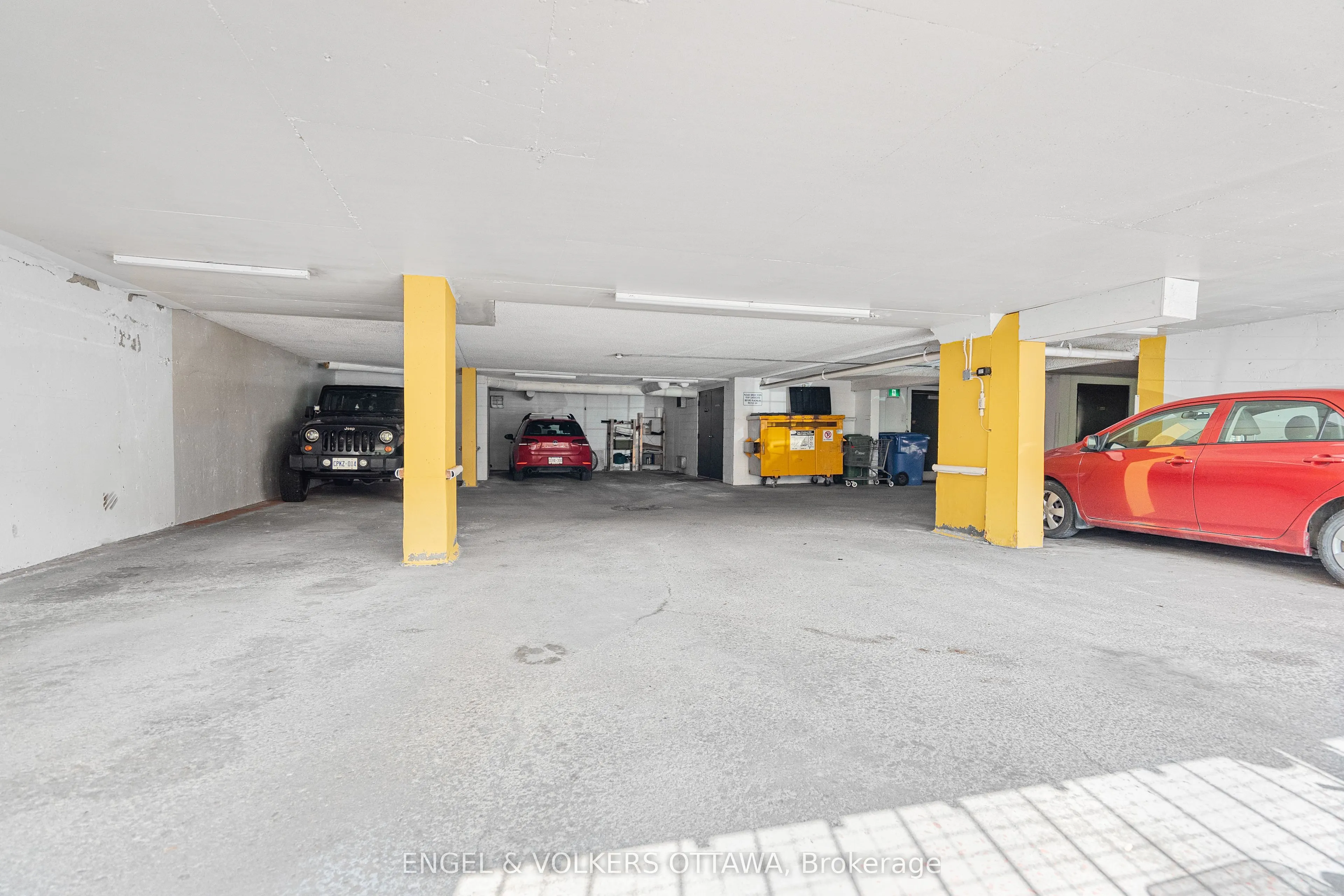 135 Springfield Road #5