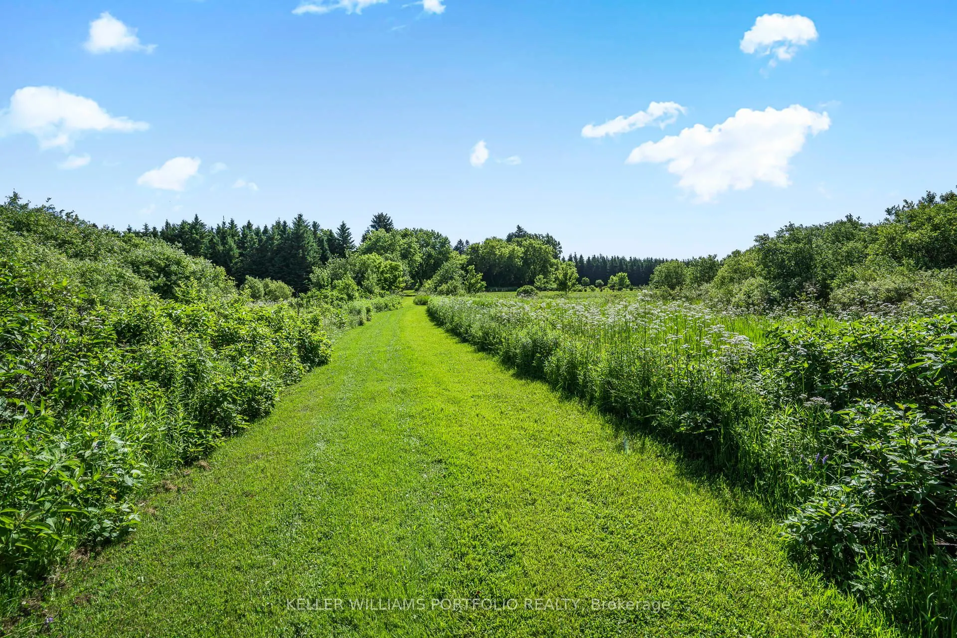 254588 Ninth Line