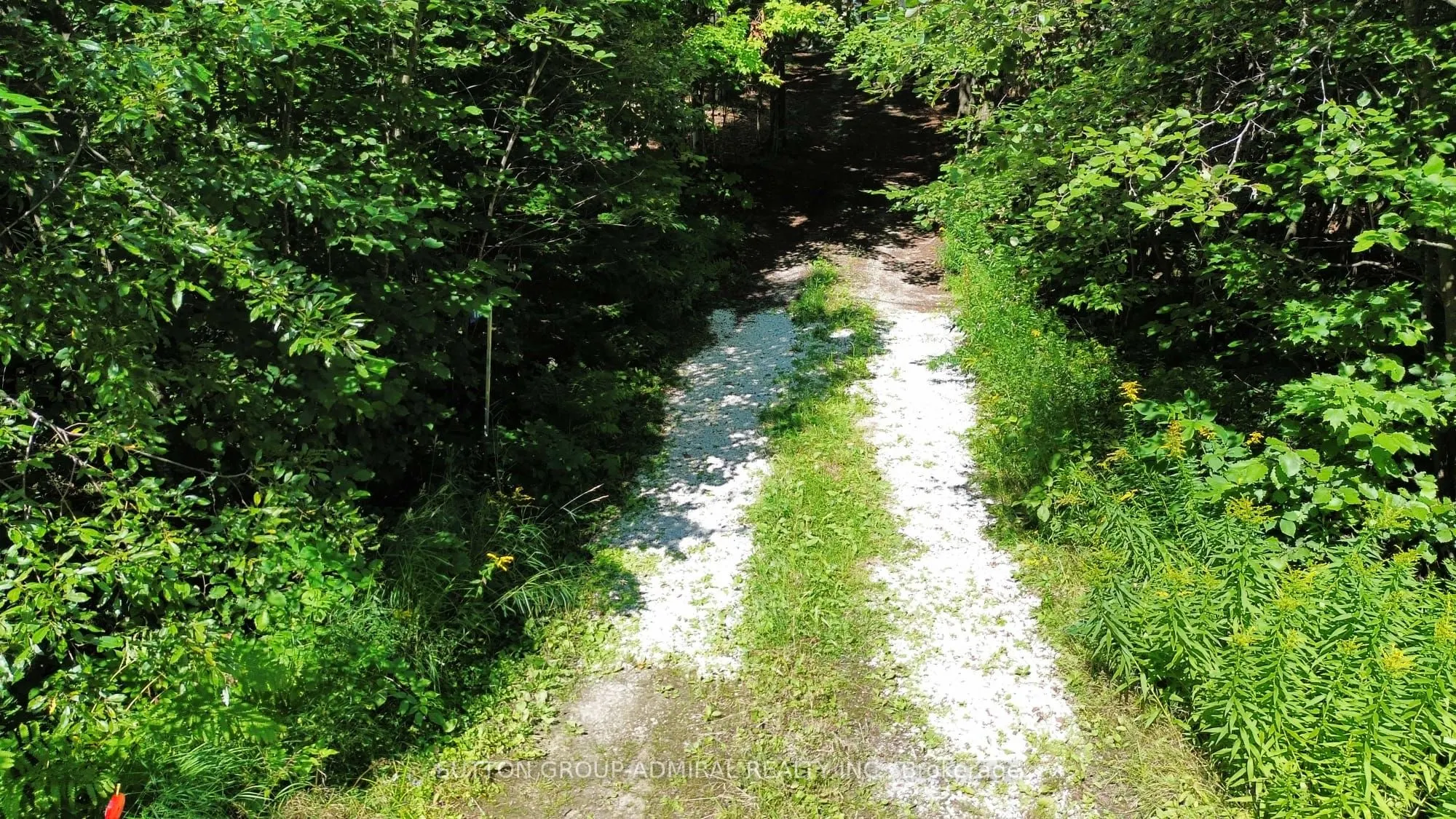 1135 ROSS LAKE Road