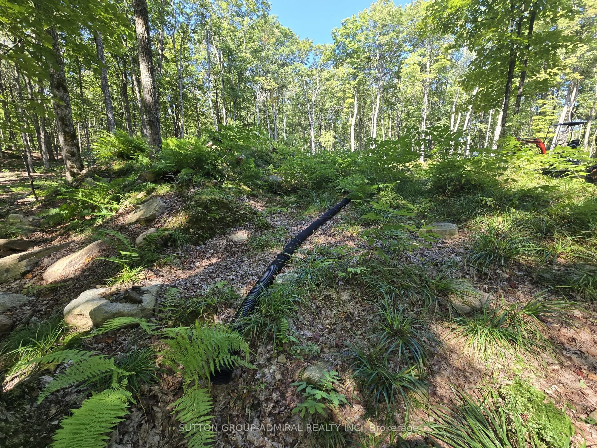 1135 ROSS LAKE Road