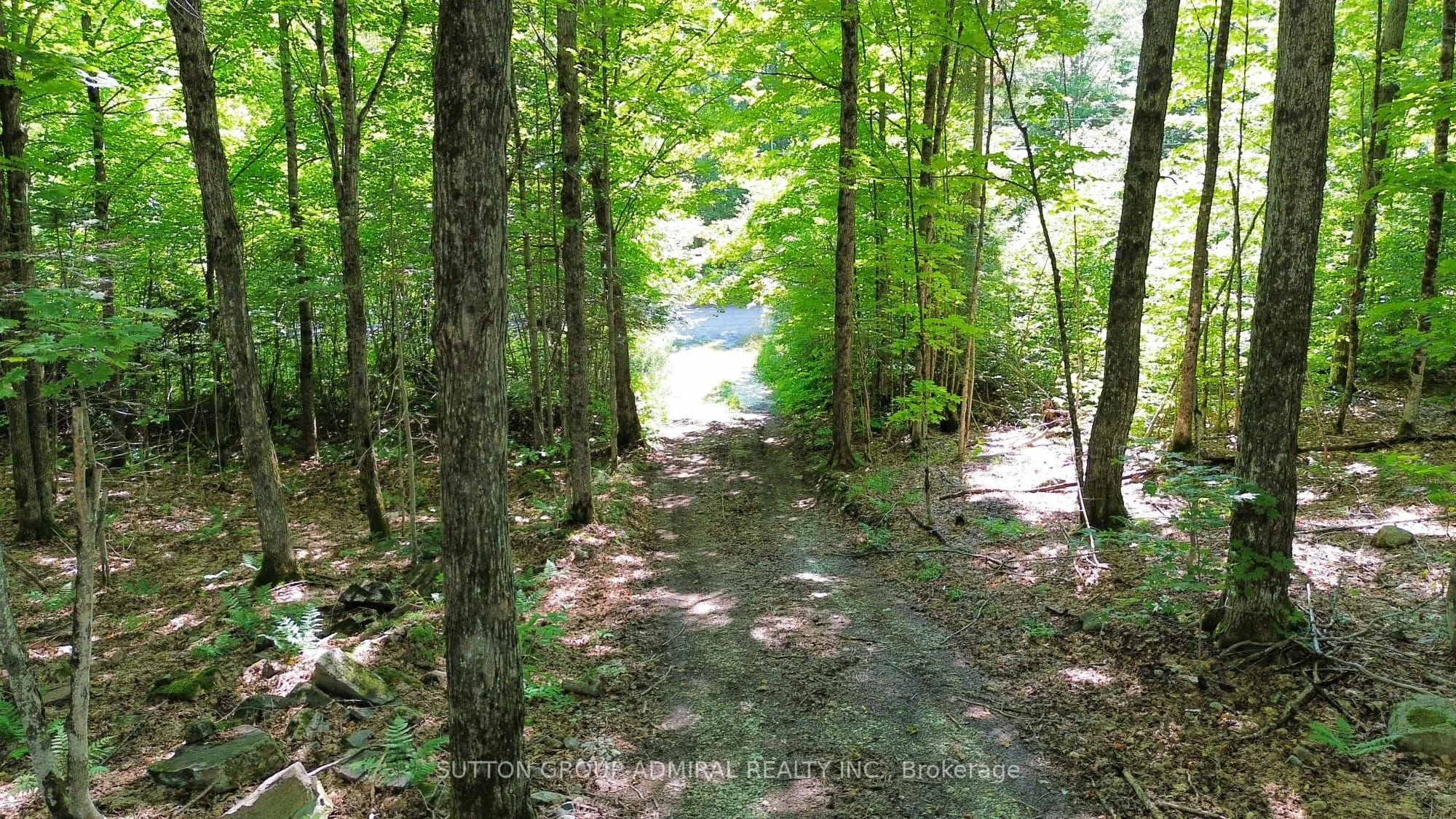 1135 ROSS LAKE Road