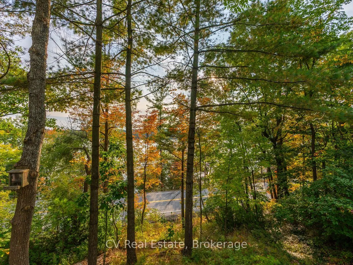 1356 & 1357 Peninsula Road