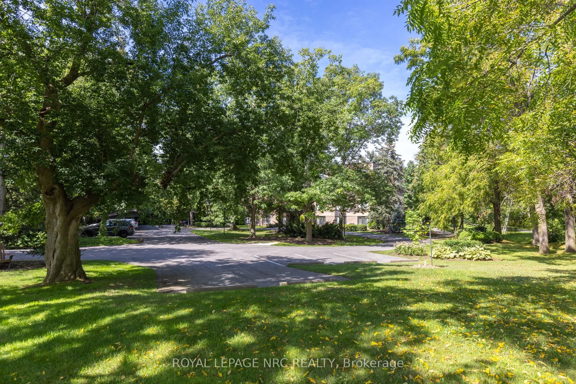 61 Paffard Street #202