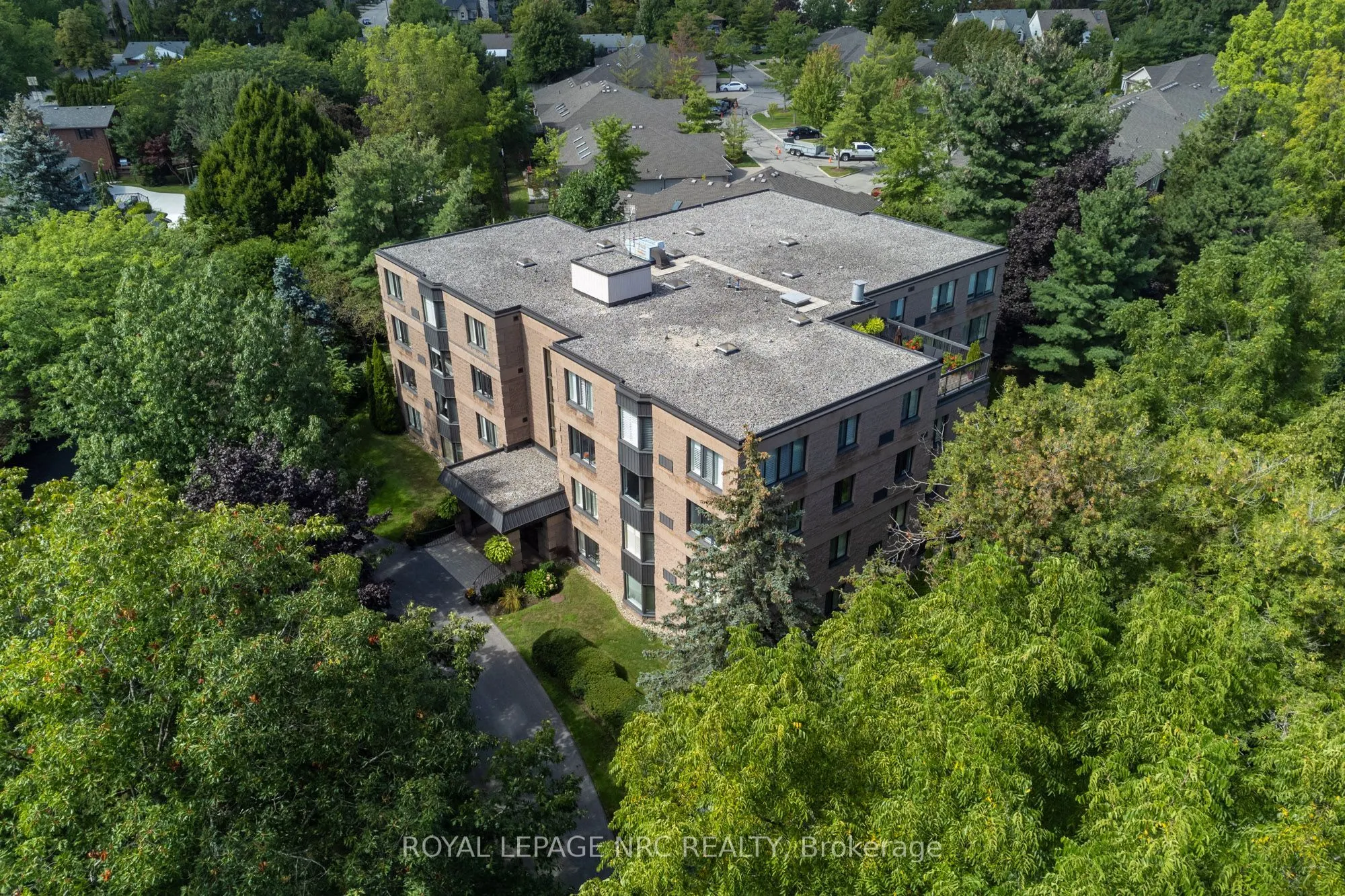 61 Paffard Street #202