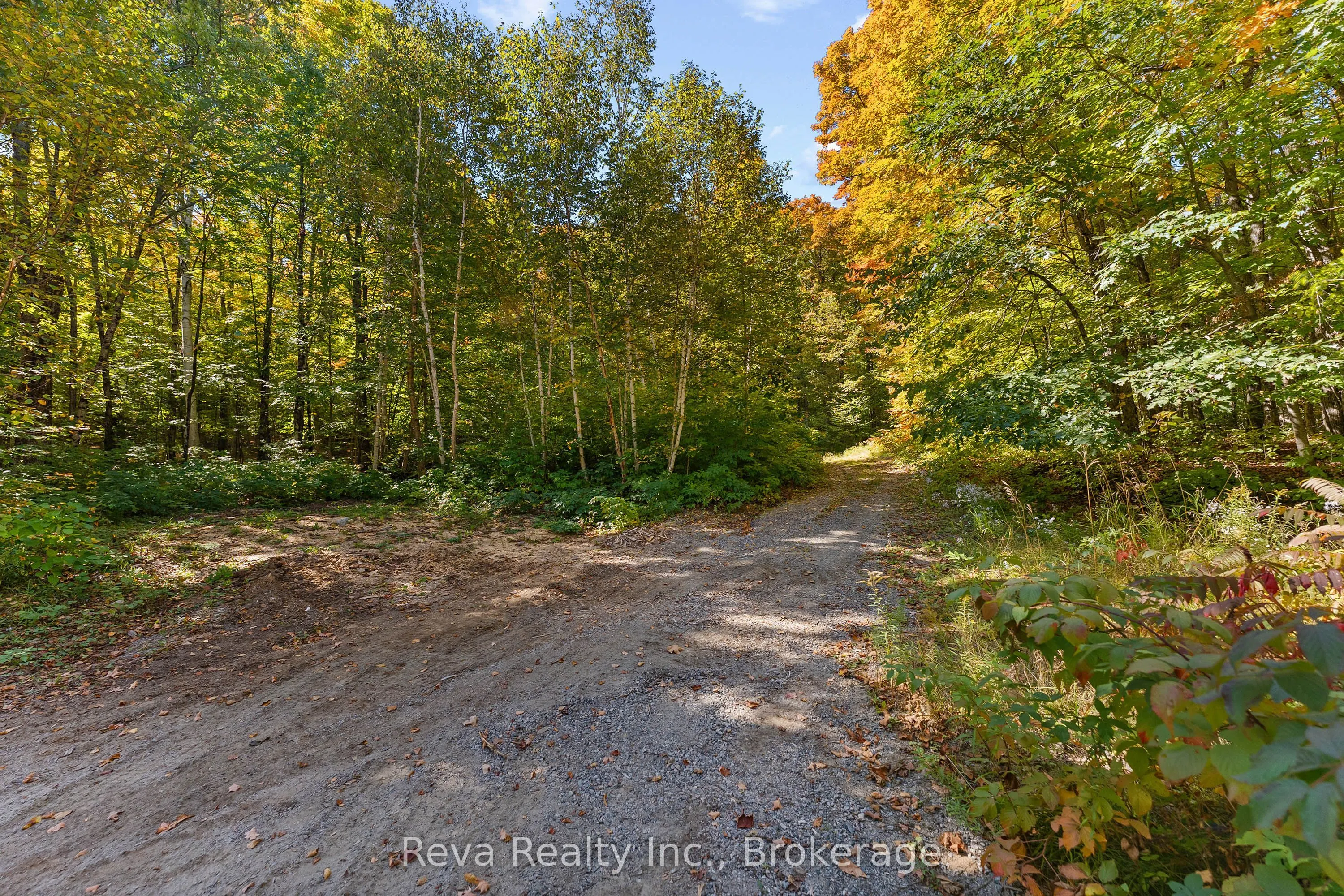 219 Elgin Road