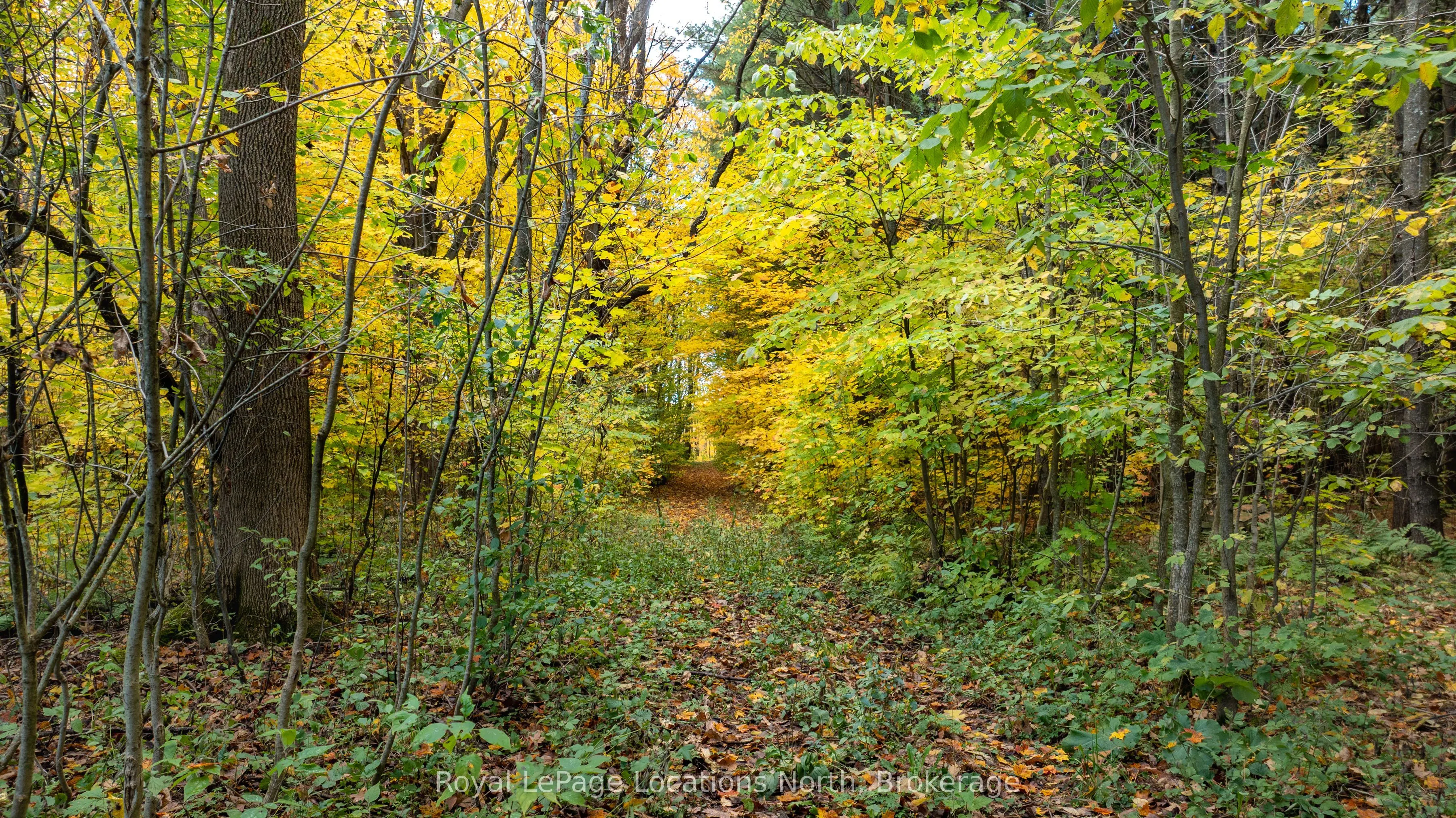 609830 12th Side Road