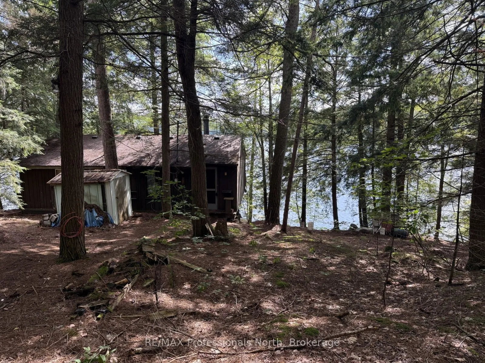 1019 Arrowhead Drive