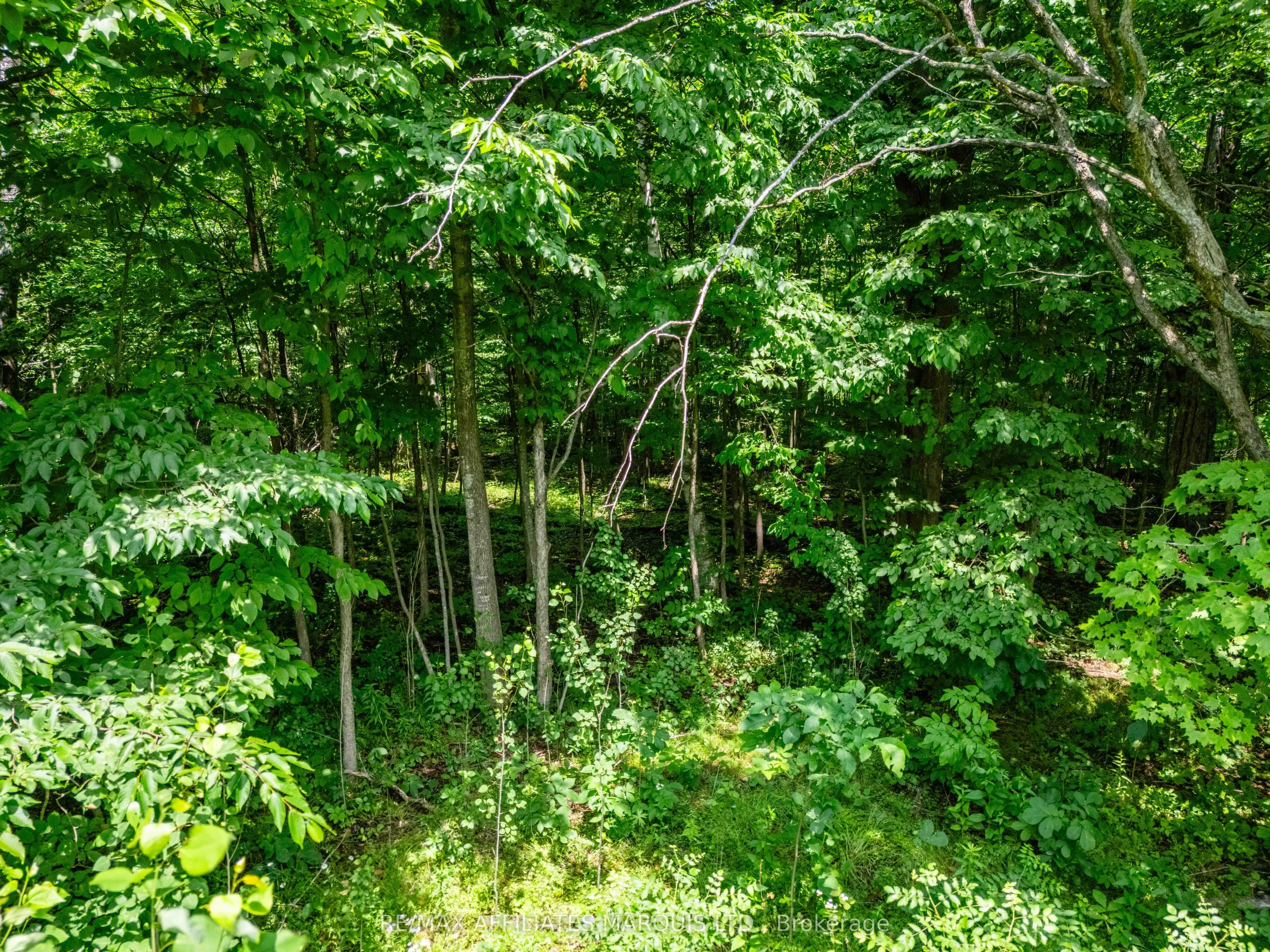 LOT Beaver Brook Road