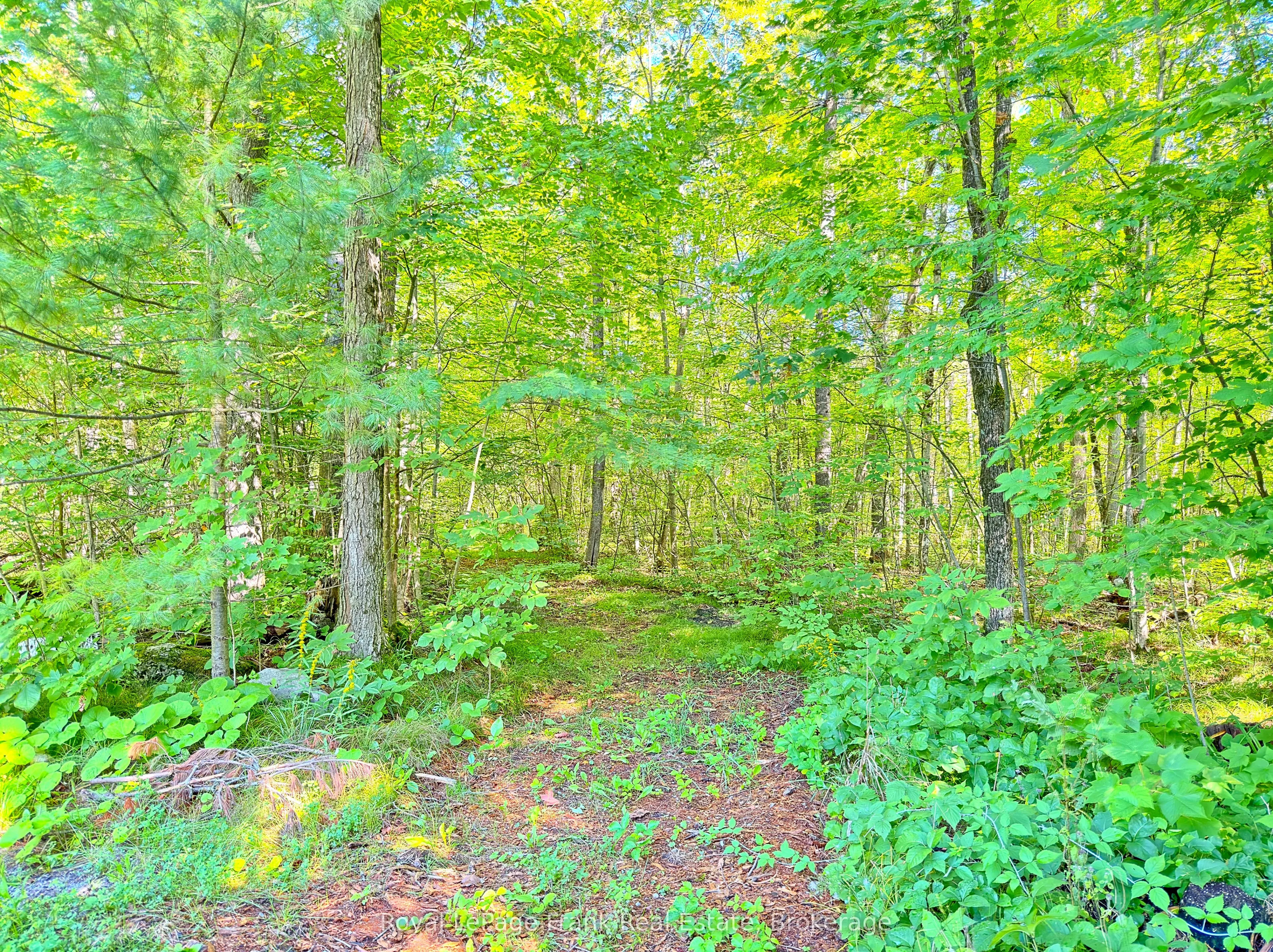 858 Mill Road