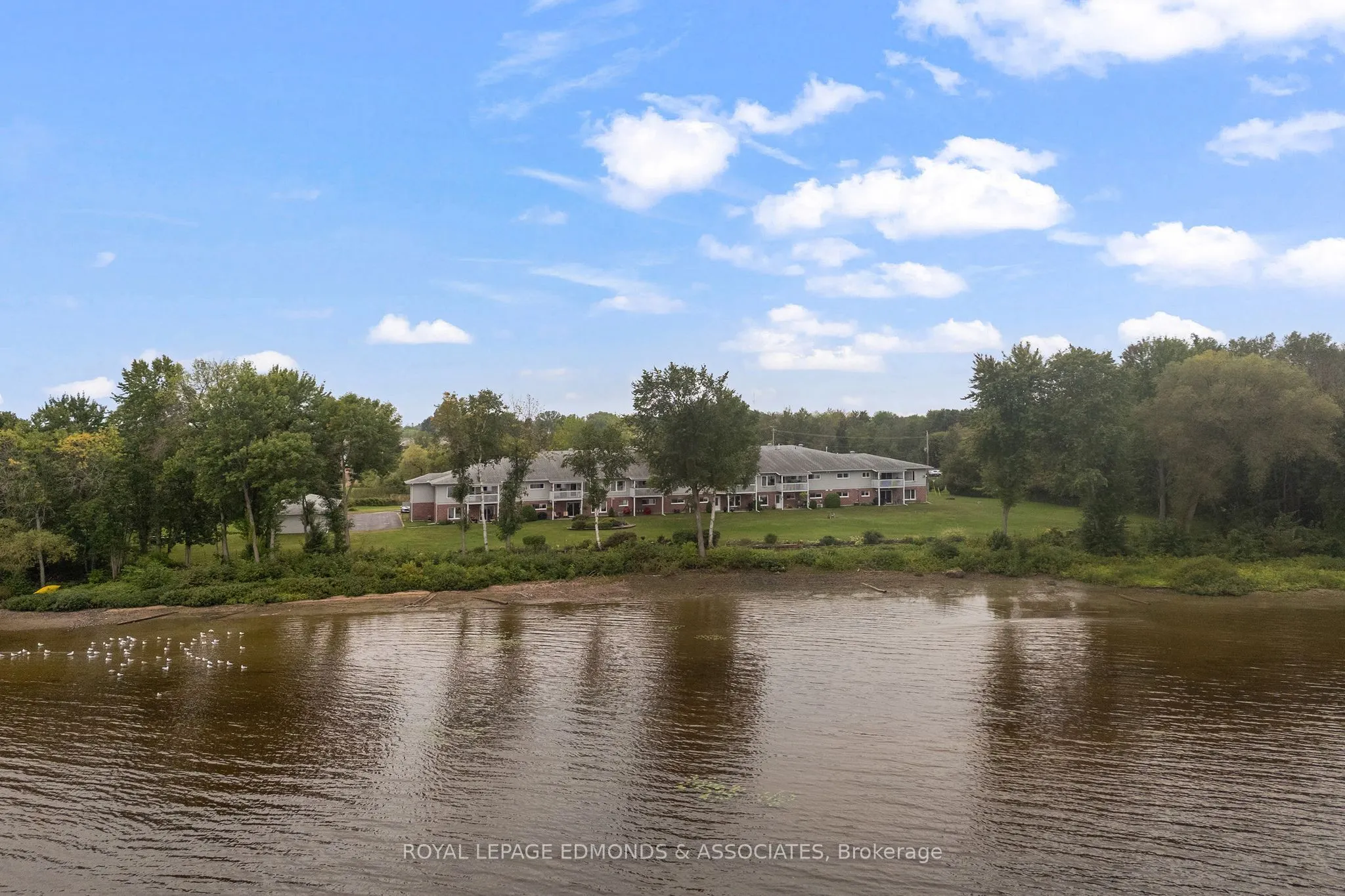 1 Crandall Street #212