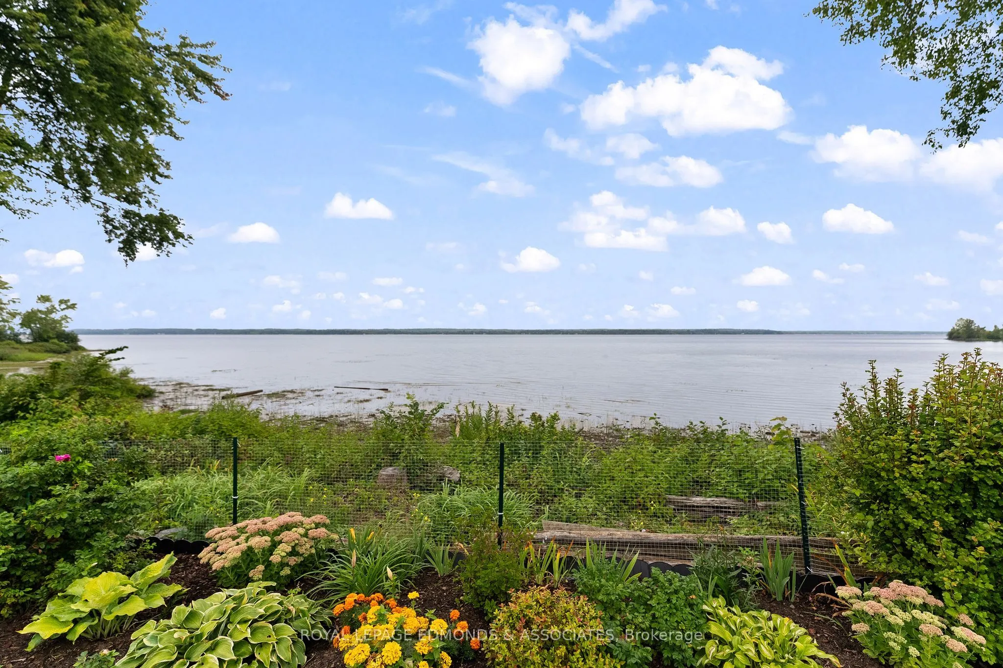 1 Crandall Street #212