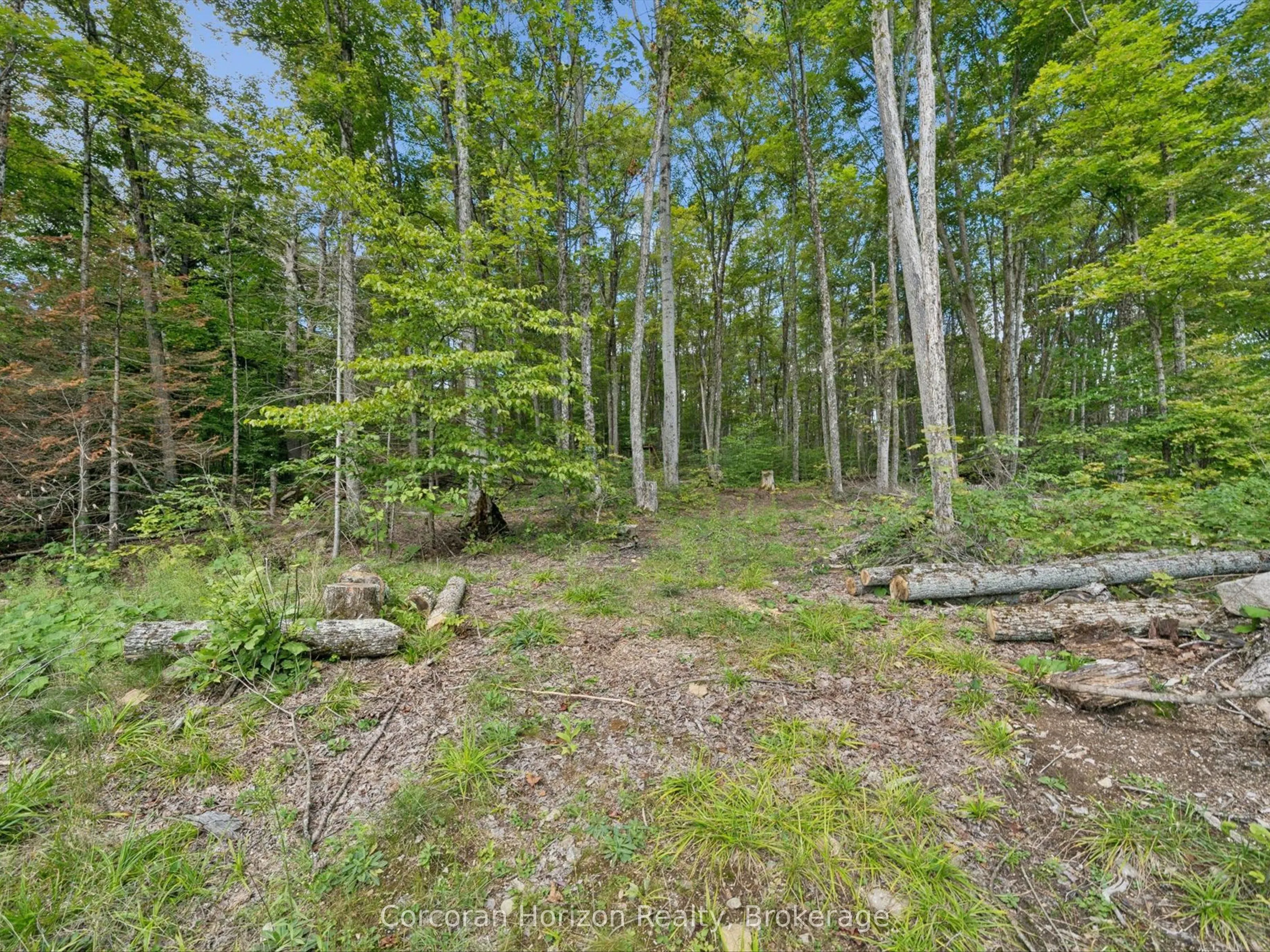 1211 Pluto Trail