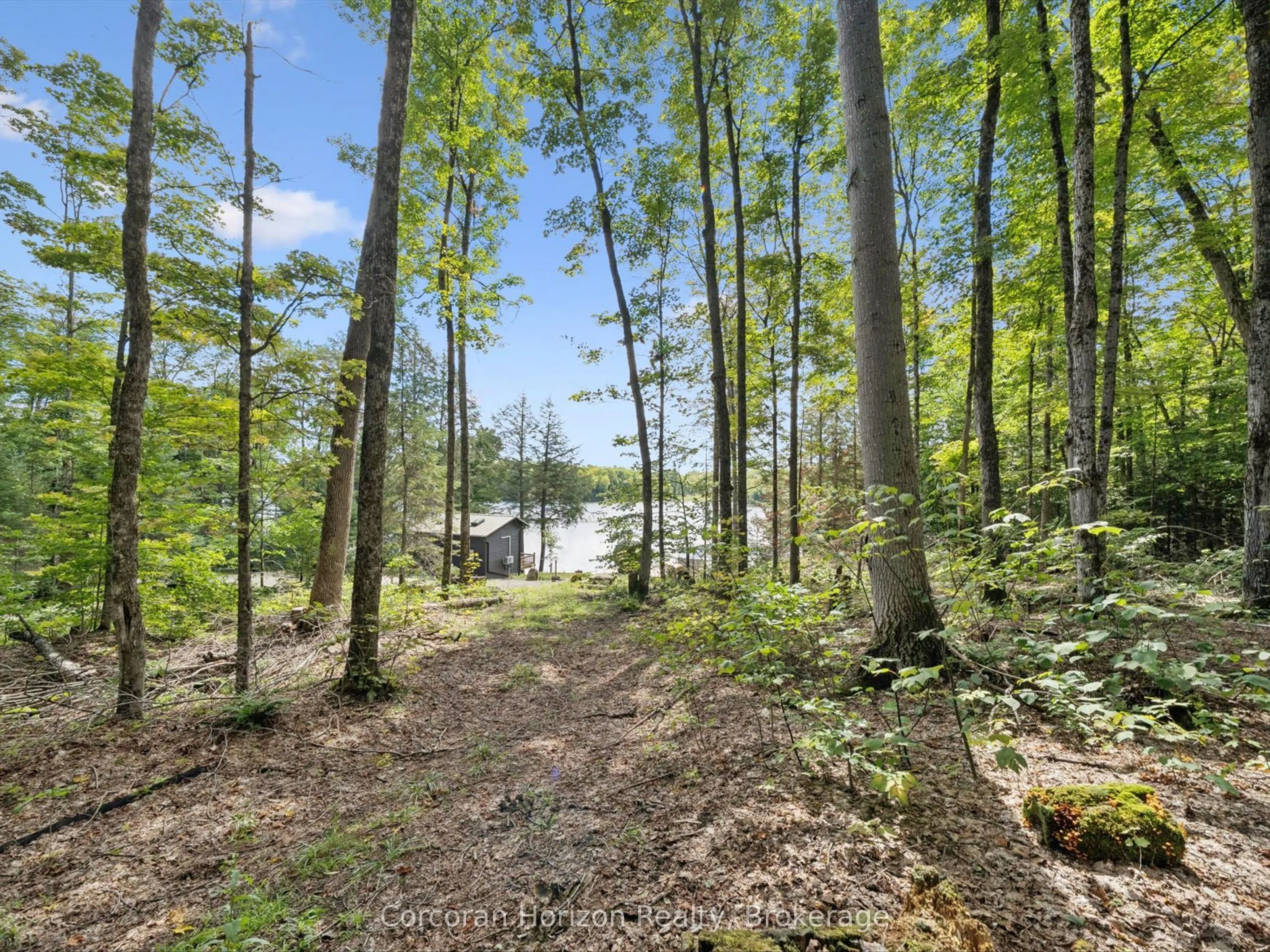 1211 Pluto Trail