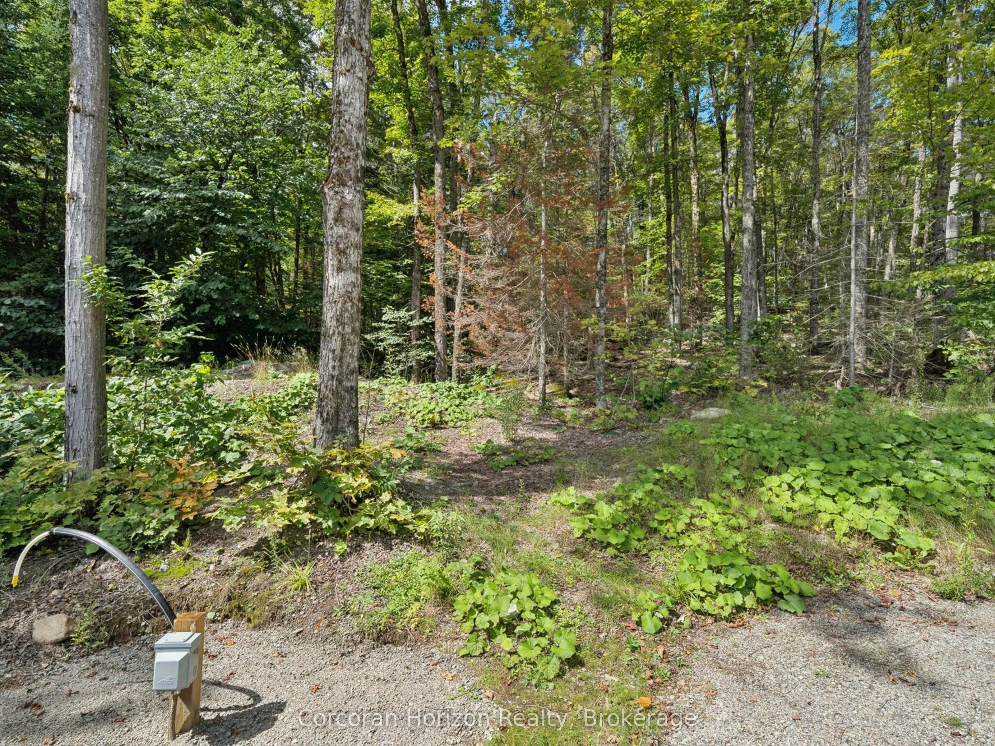 1211 Pluto Trail
