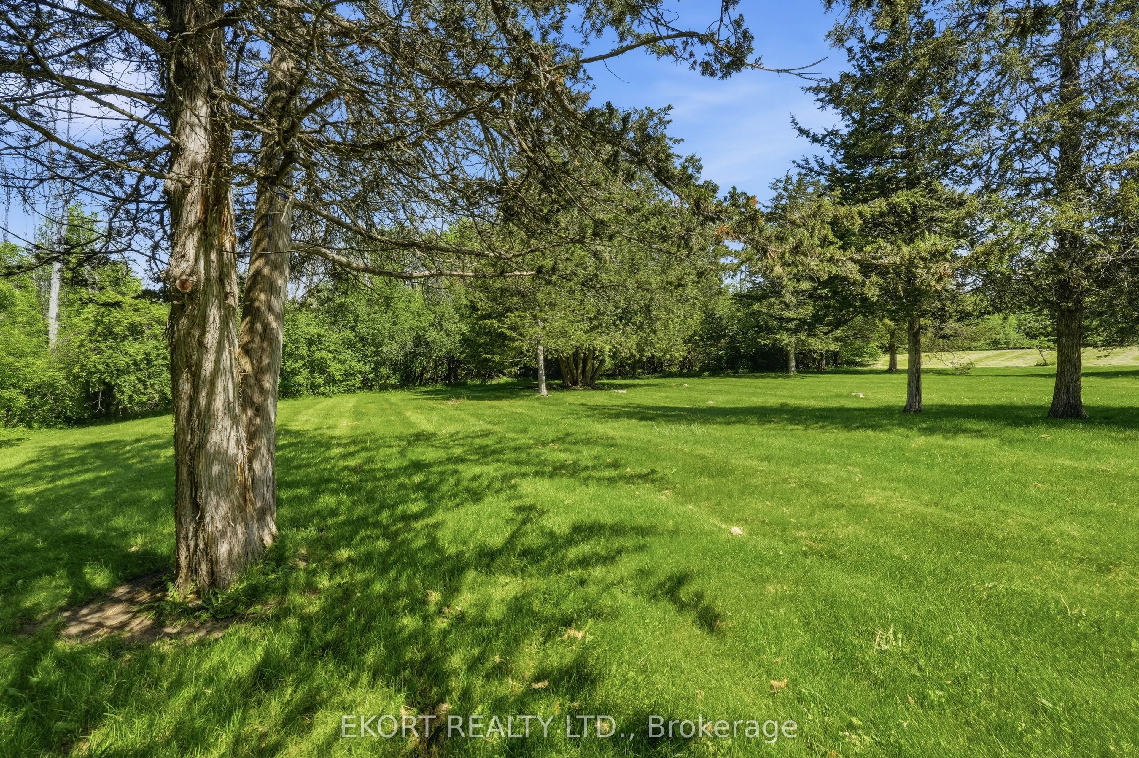 53 O'neill Drive