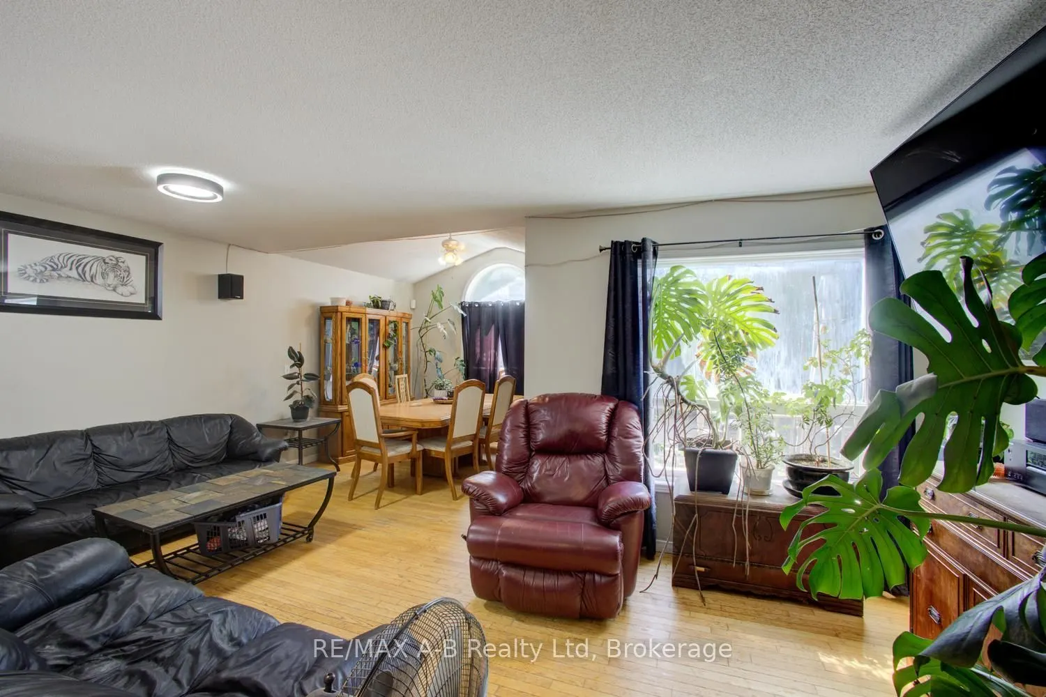 223 Melran Drive