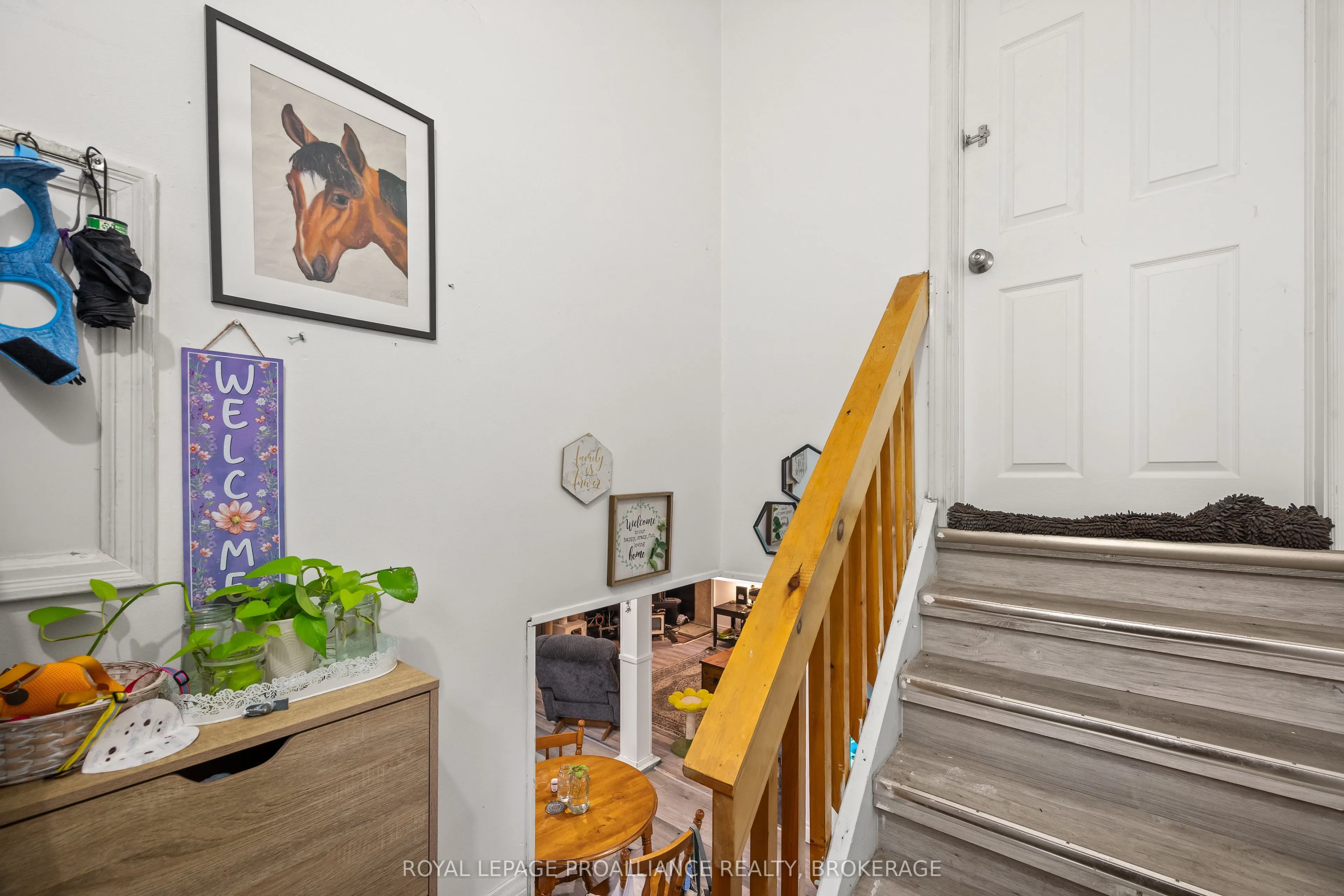 260 Elmwood Street